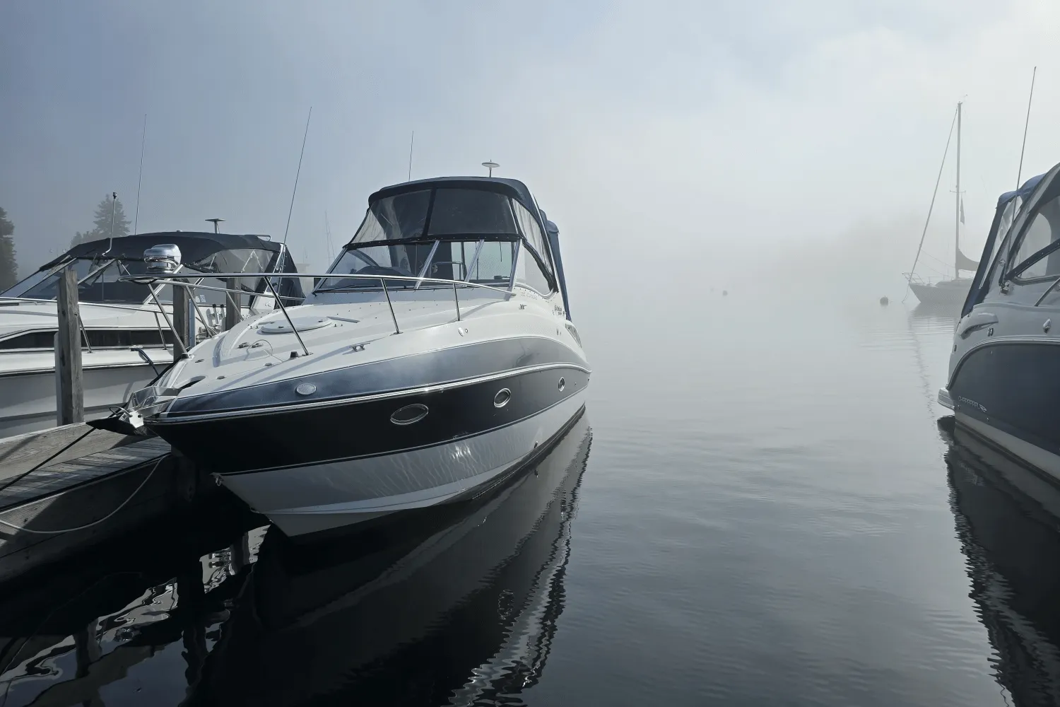 2014 Cruisers Yachts 310 EXPRESS Image Thumbnail #42