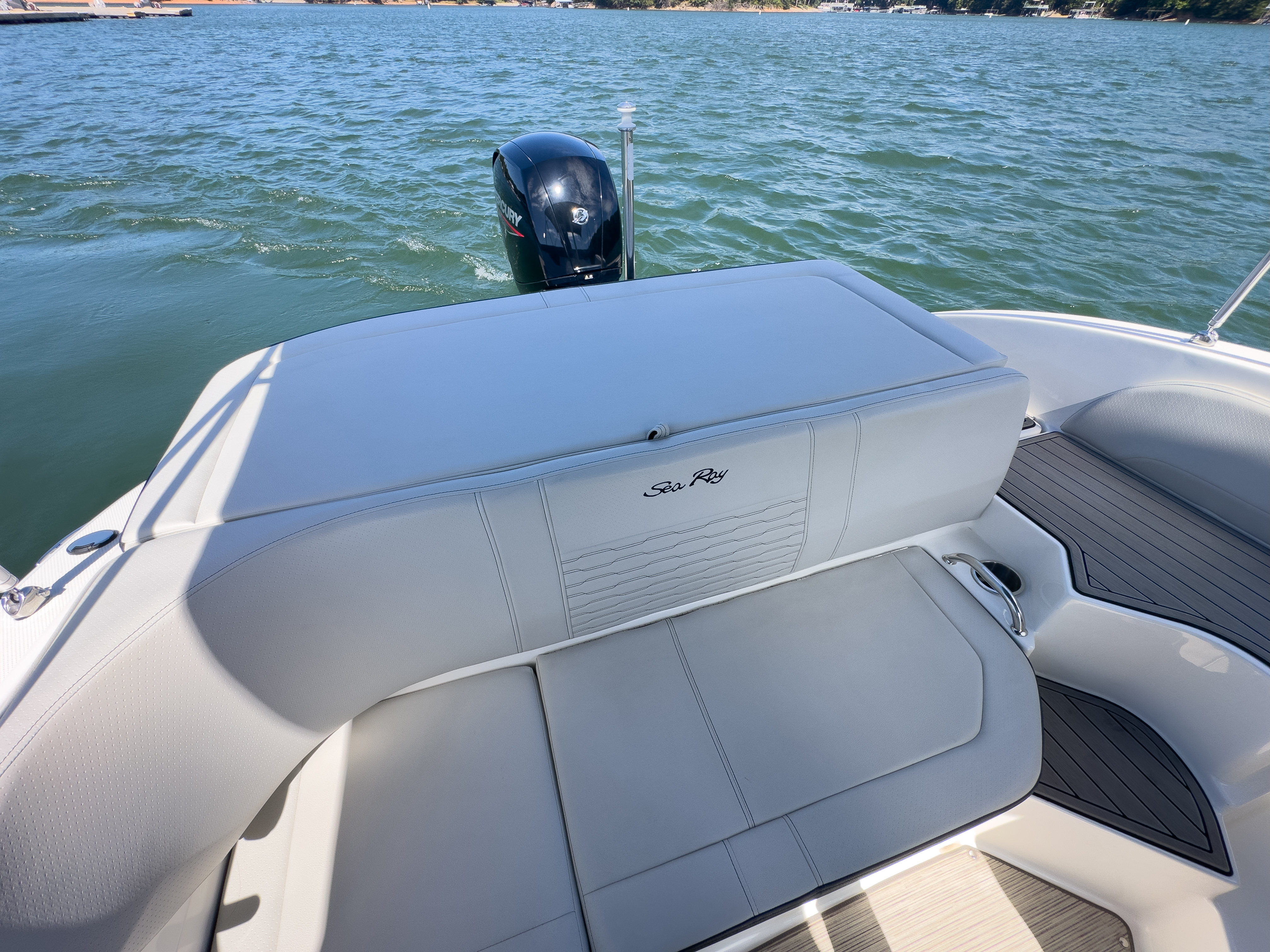 2022 Sea Ray SPX 190 OB Image Thumbnail #14