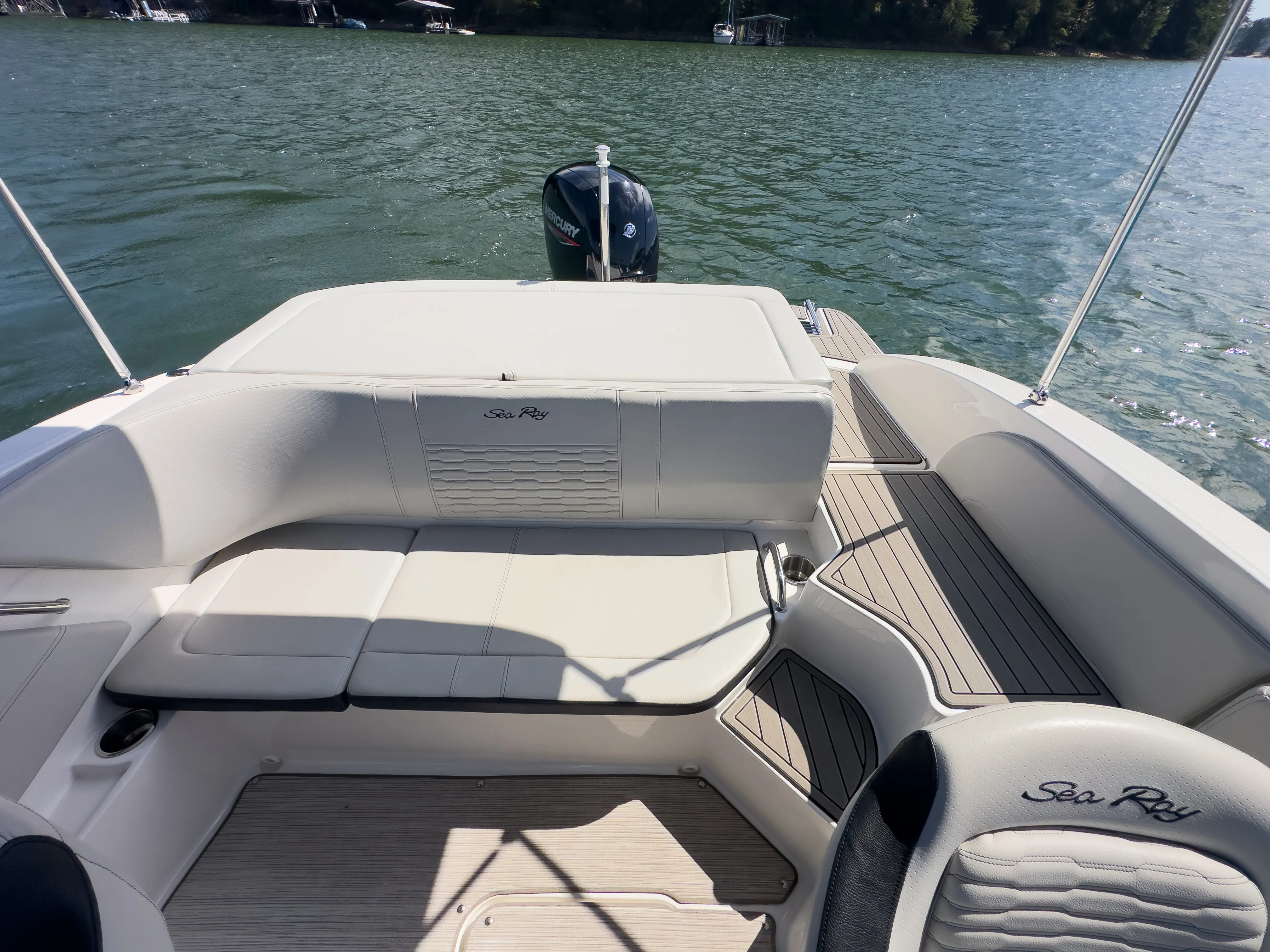 2022 Sea Ray SPX 190 OB Image Thumbnail #12