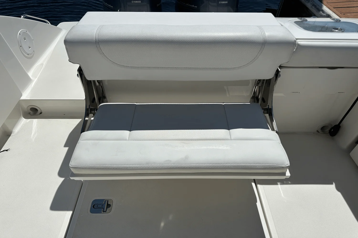 2021 Pursuit DC 266 Image Thumbnail #21