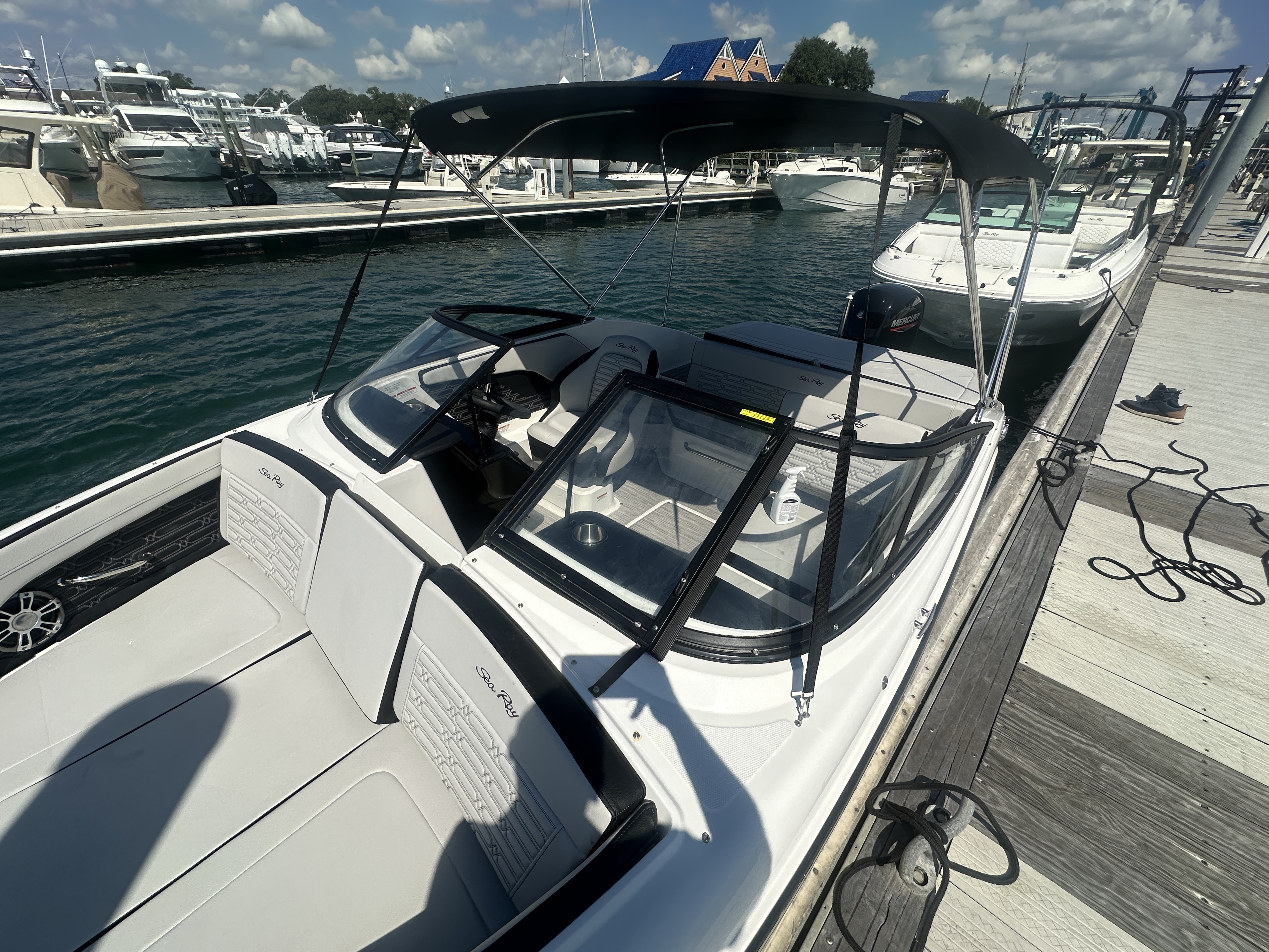 2025 Sea Ray 190 SPX OUTBOARD Image Thumbnail #5