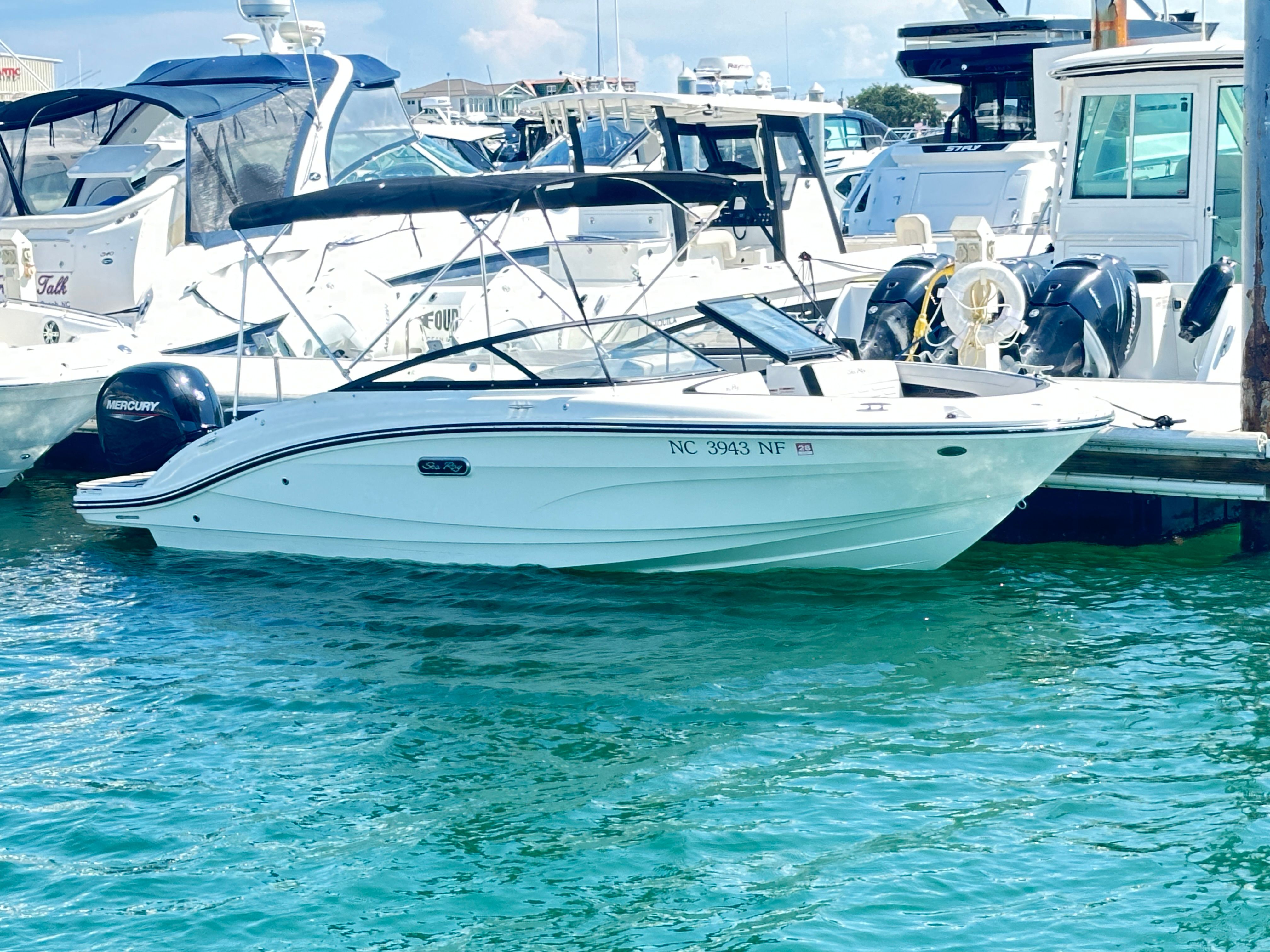 2025 Sea Ray 190 SPX OUTBOARD Image Thumbnail #0