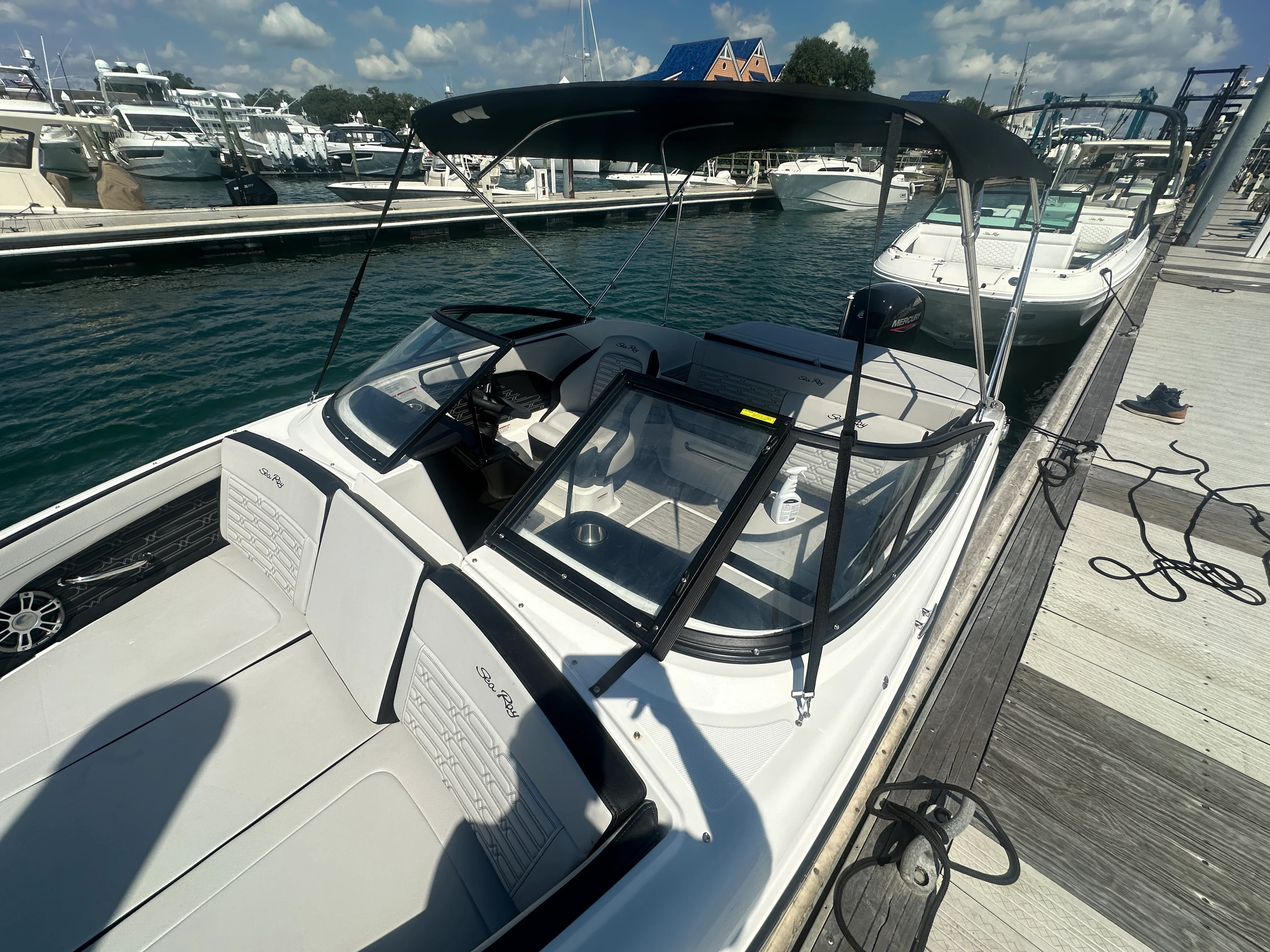 2025 Sea Ray 190 SPX OUTBOARD Image Thumbnail #5