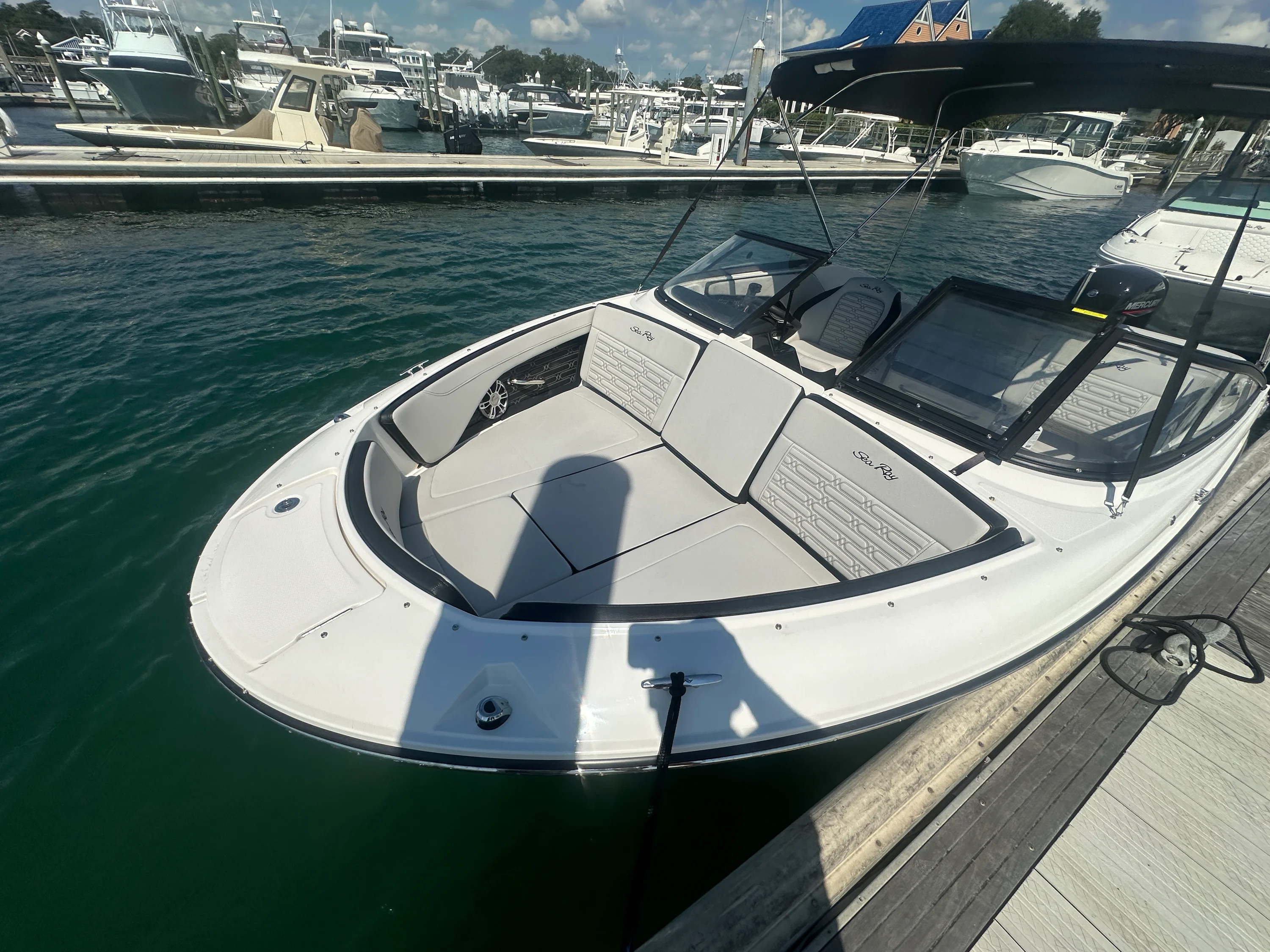 2025 Sea Ray 190 SPX OUTBOARD Image Thumbnail #2