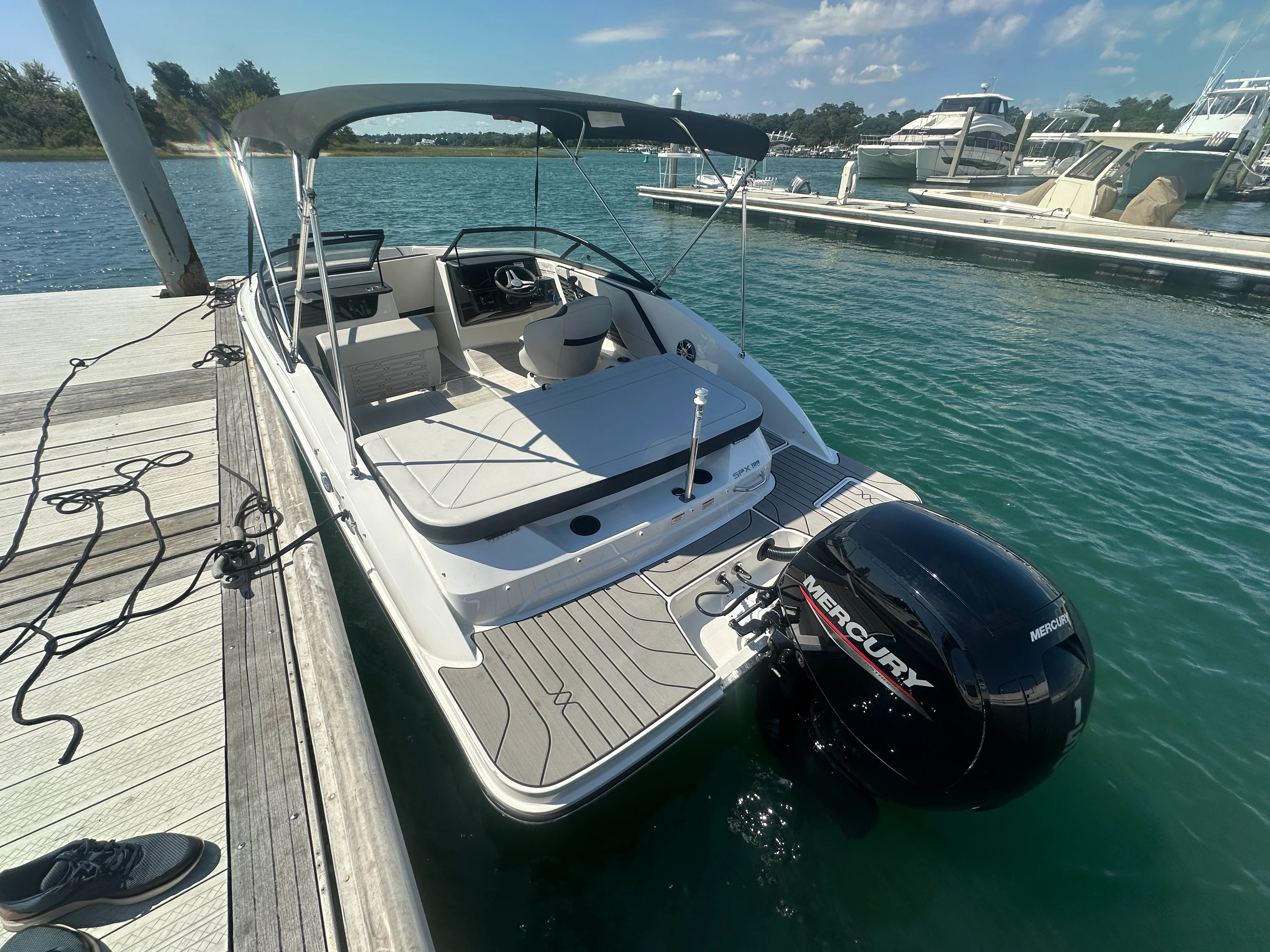 2025 Sea Ray 190 SPX OUTBOARD Image Thumbnail #1