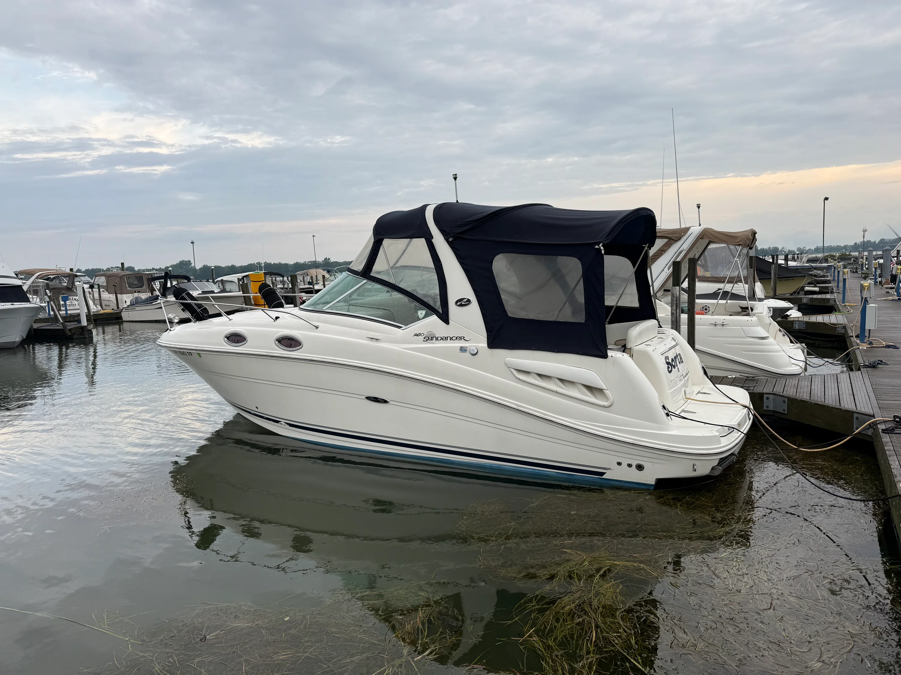 2008 Sea Ray 260 SUNDANCER Image Thumbnail #1