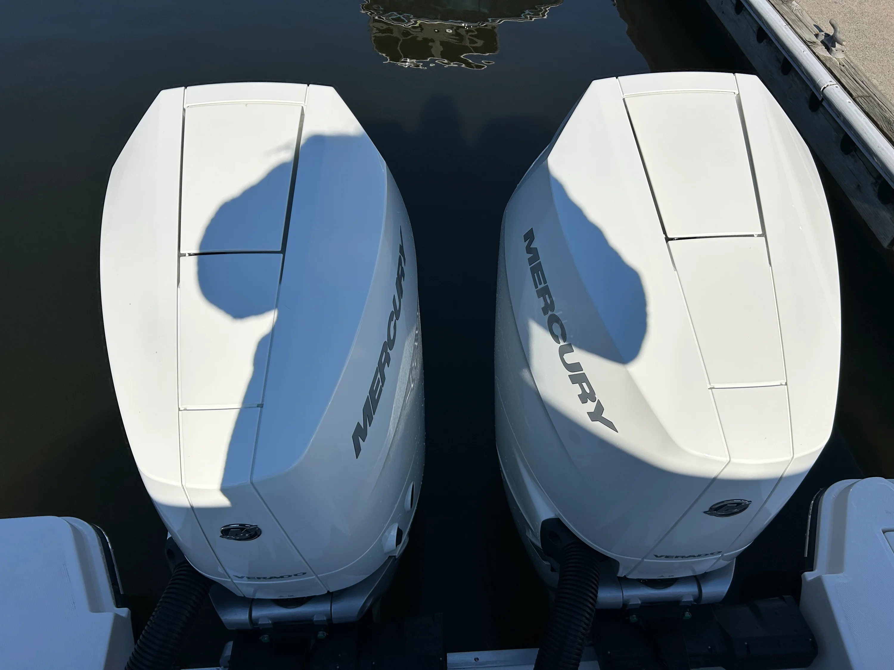 2026 Sea Ray SLX 310 Outboard Image Thumbnail #9