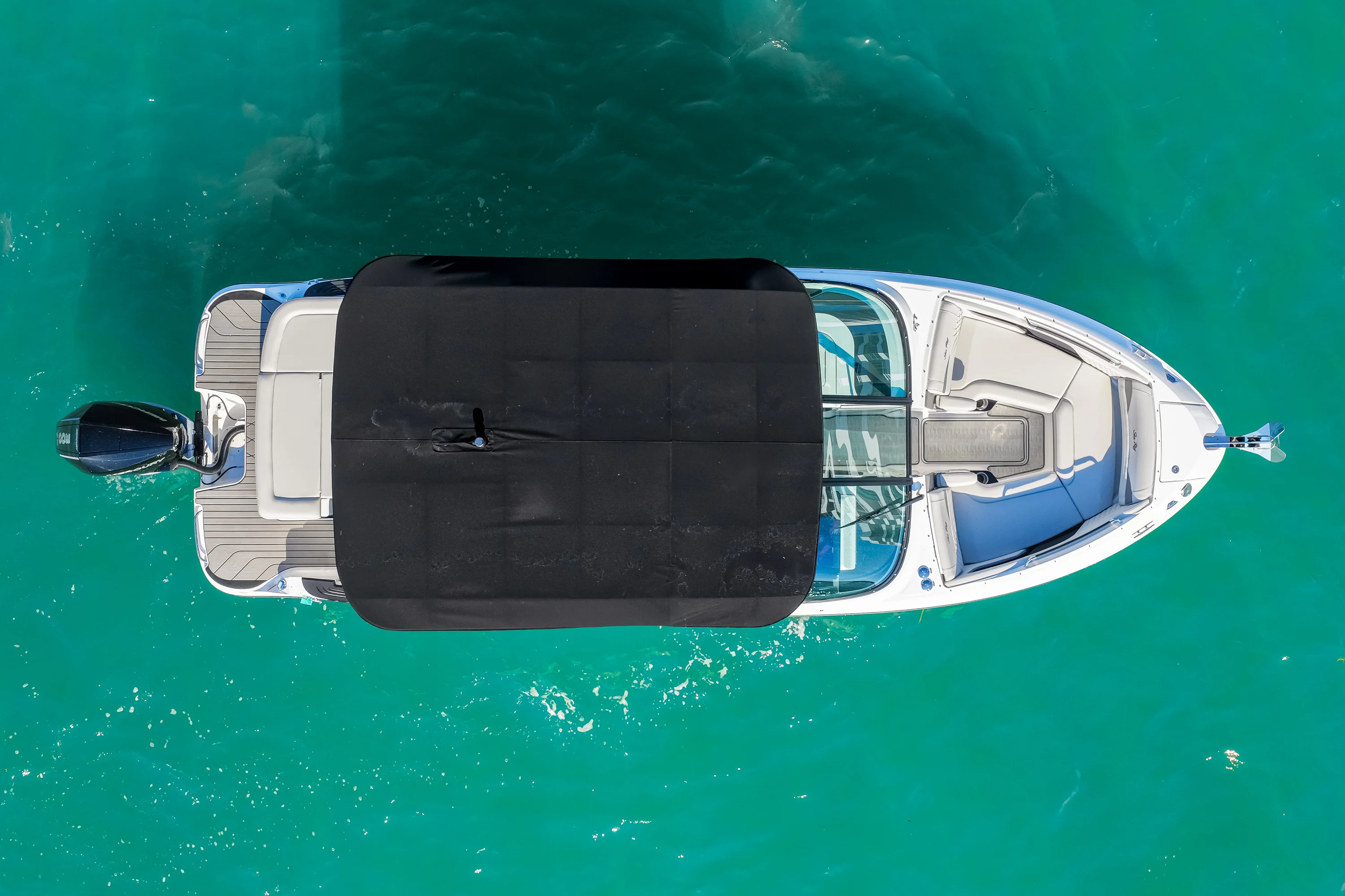 2026 Sea Ray SLX 260 Outboard Image Thumbnail #10