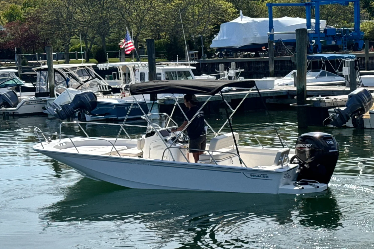 2026 Boston Whaler 170 Montauk Image Thumbnail #26