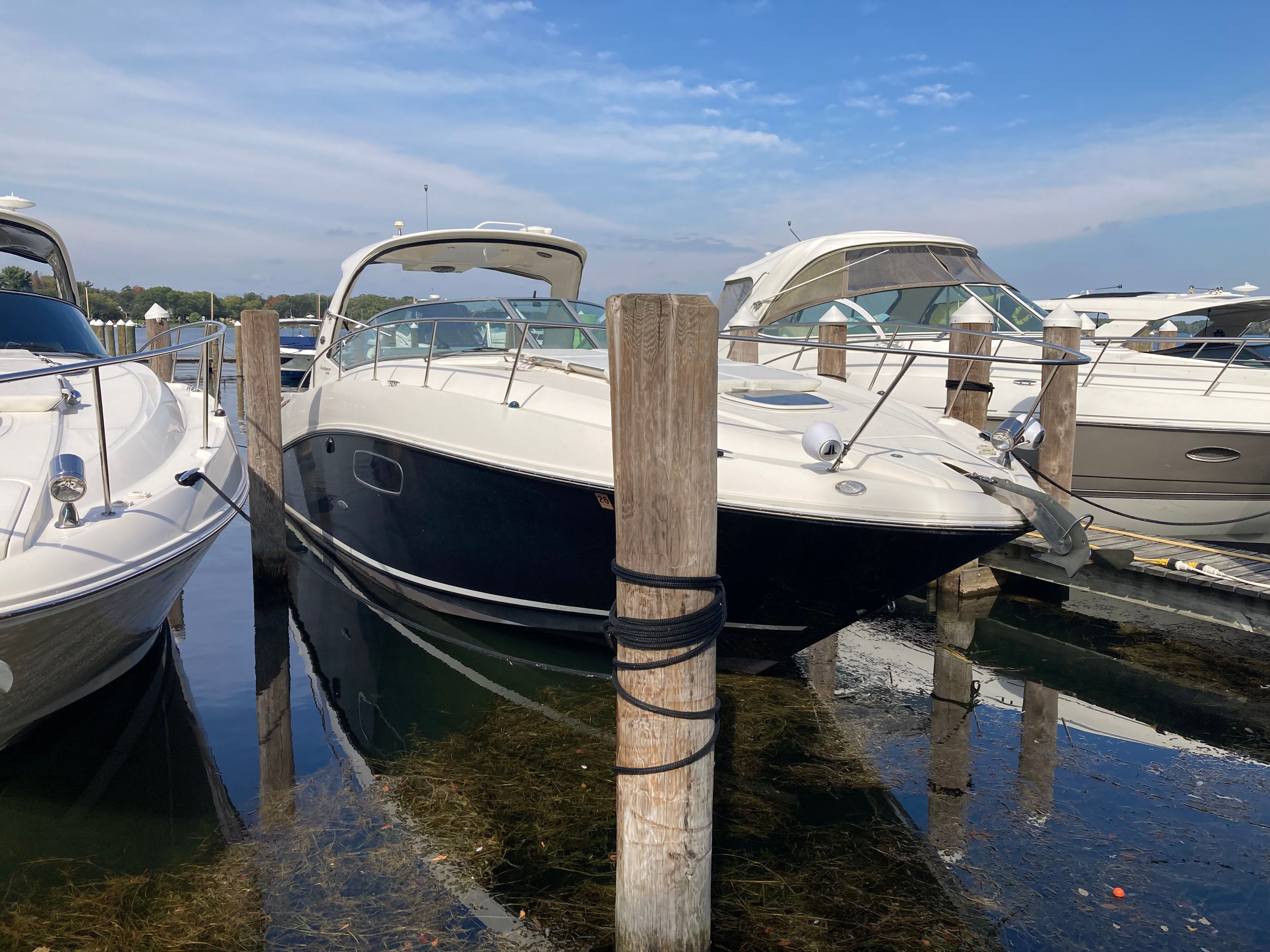 2009 Sea Ray 350 SUNDANCER Image Thumbnail #48