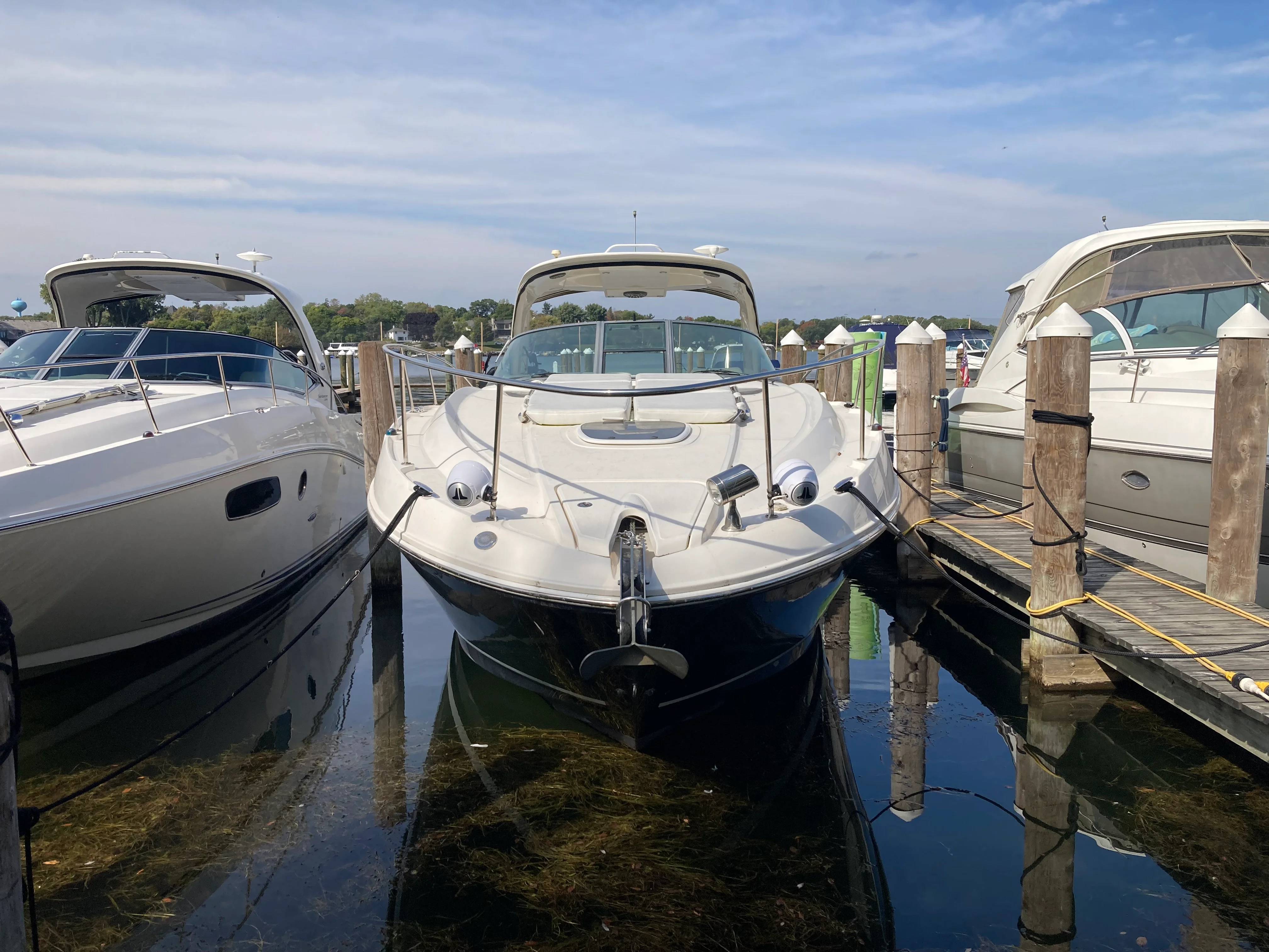 2009 Sea Ray 350 SUNDANCER Image Thumbnail #47