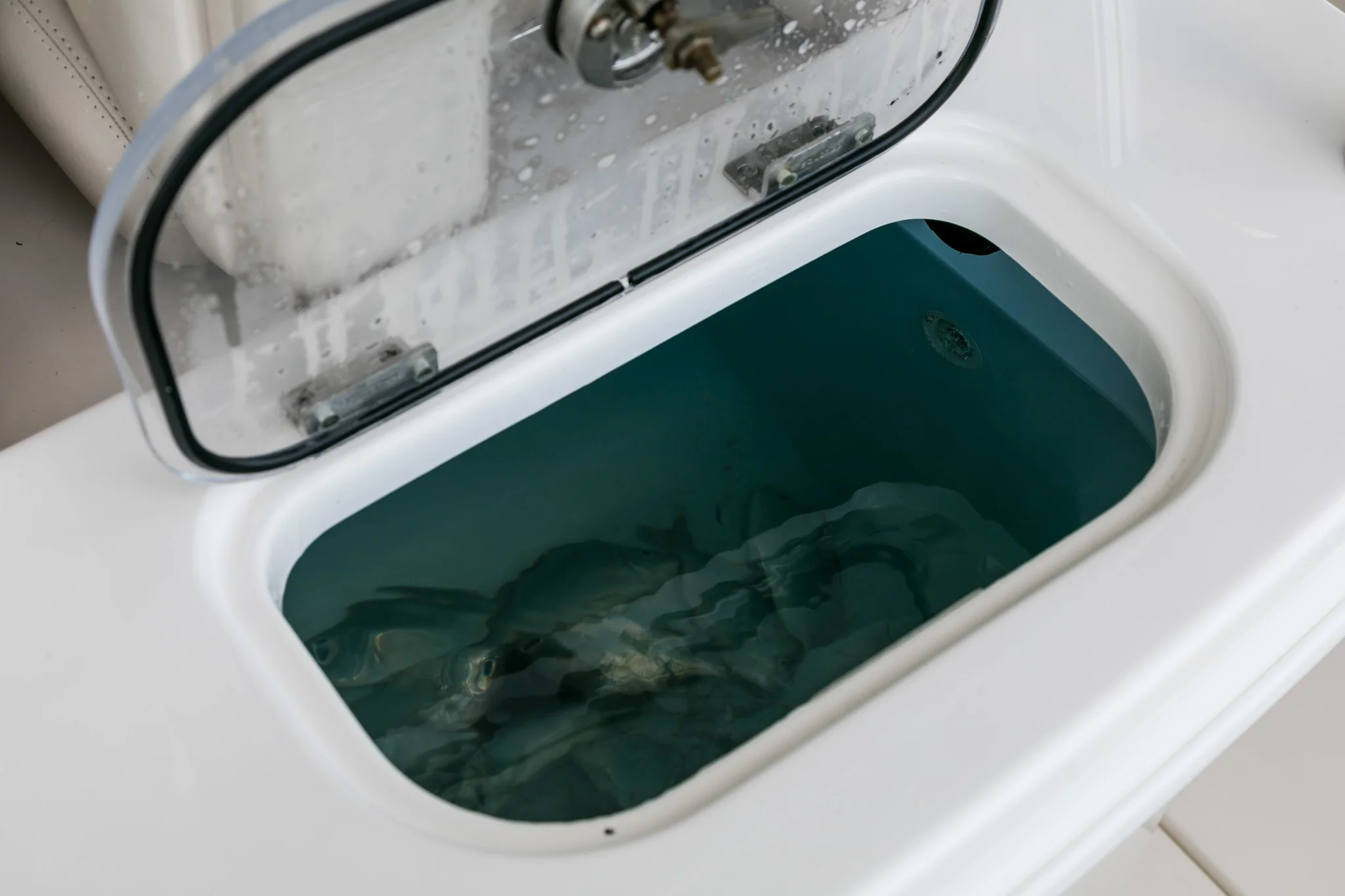 2026 Boston Whaler 250 Outrage Image Thumbnail #17