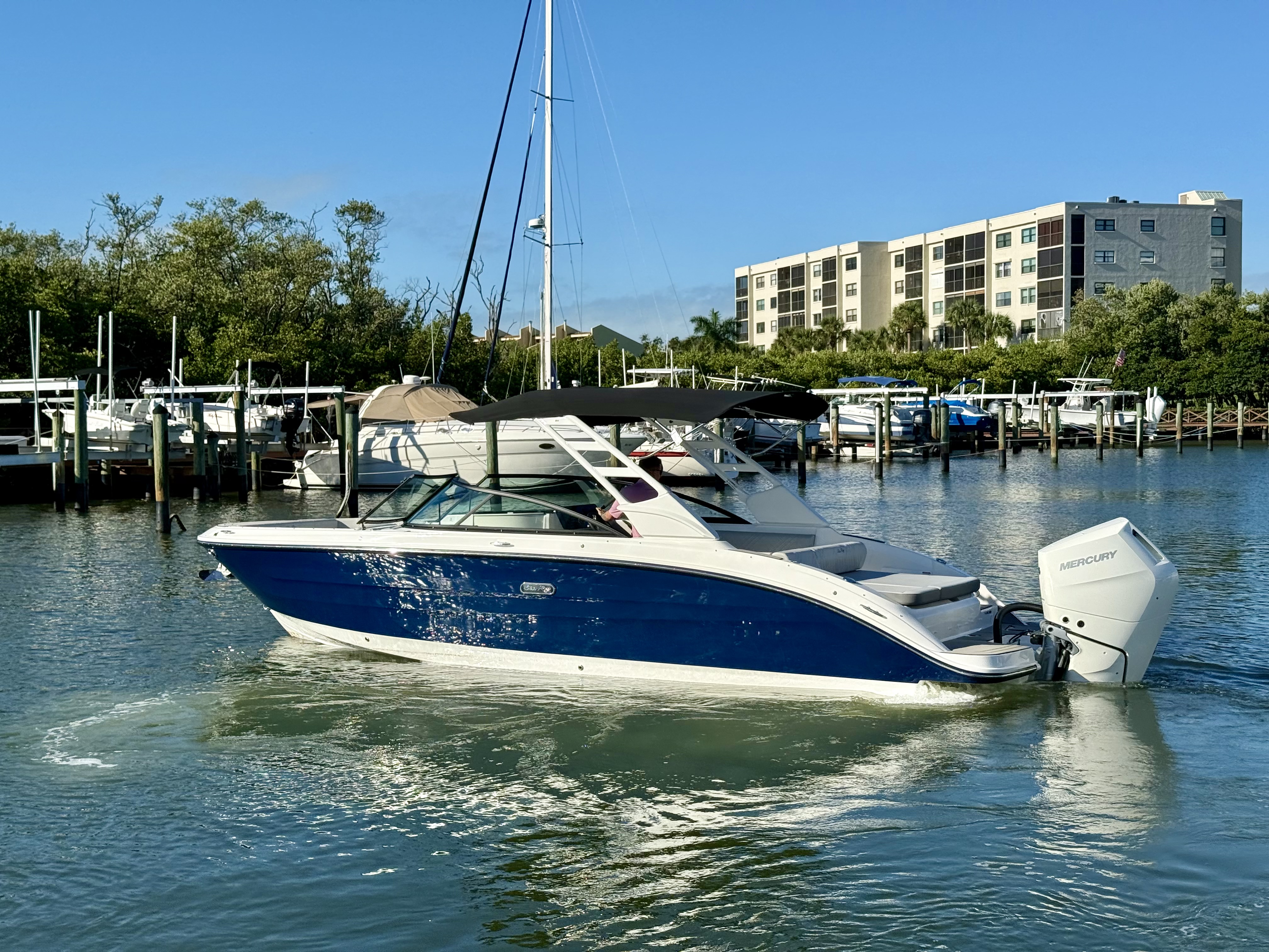2025 Sea Ray SDX 270 Outboard Image Thumbnail #7
