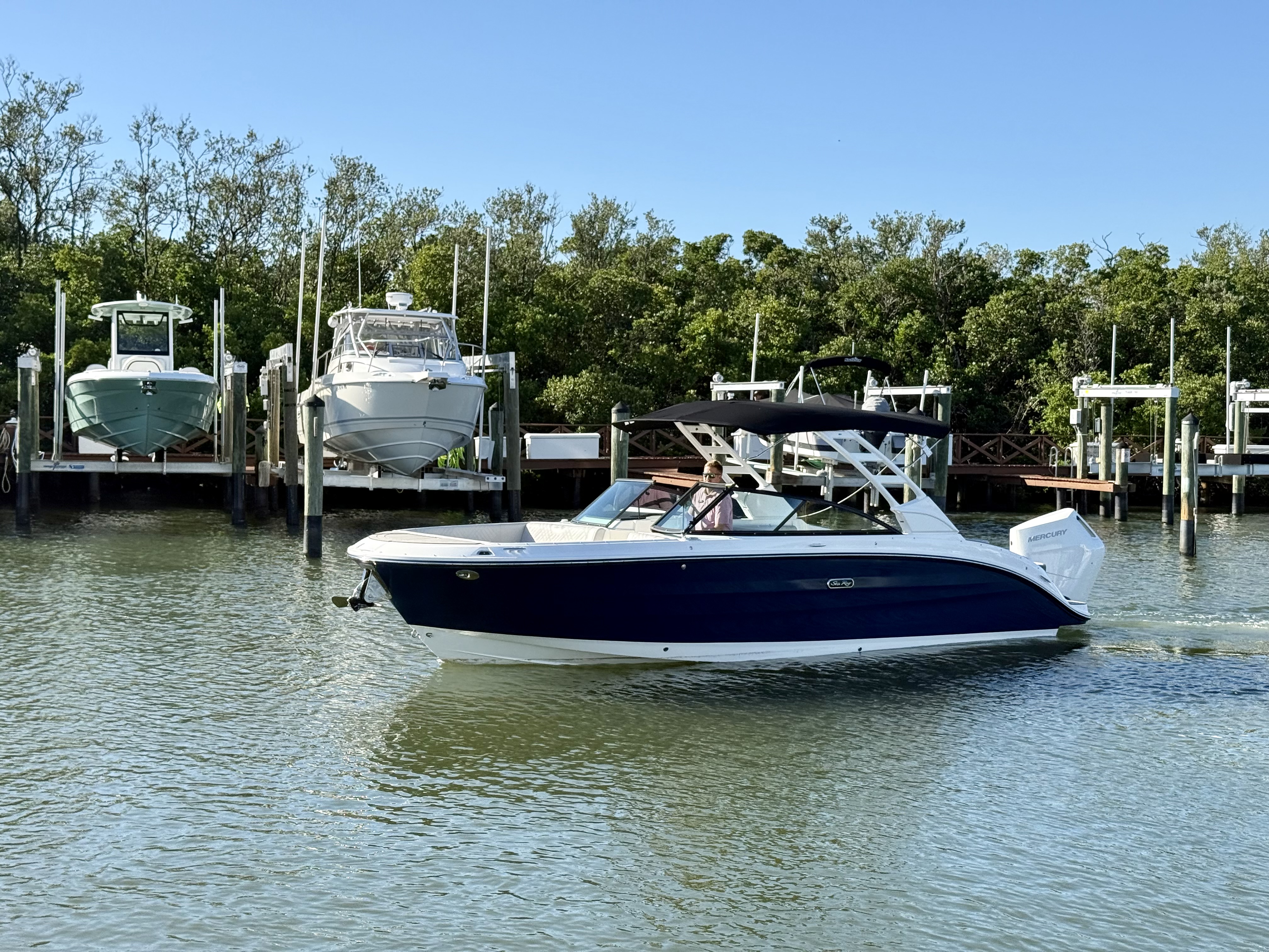 2025 Sea Ray SDX 270 Outboard Image Thumbnail #9
