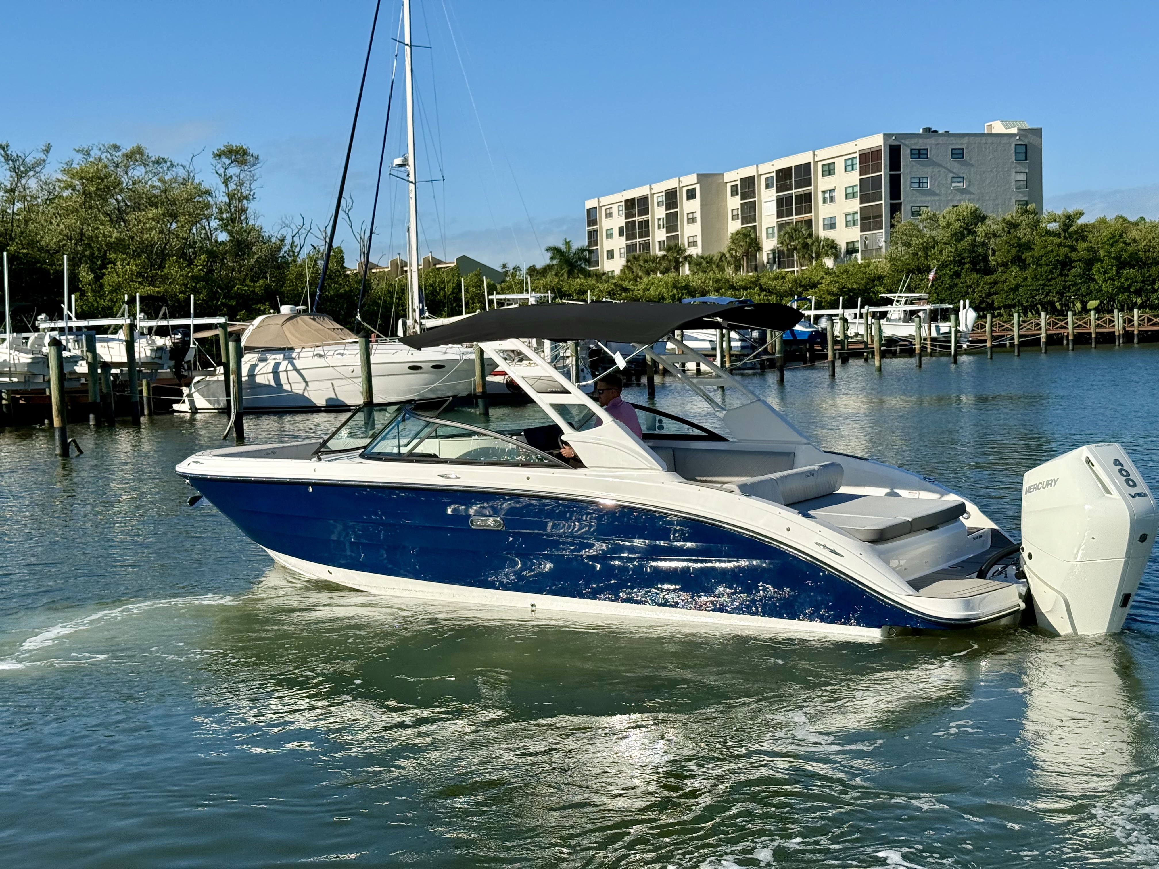 2025 Sea Ray SDX 270 Outboard Image Thumbnail #8