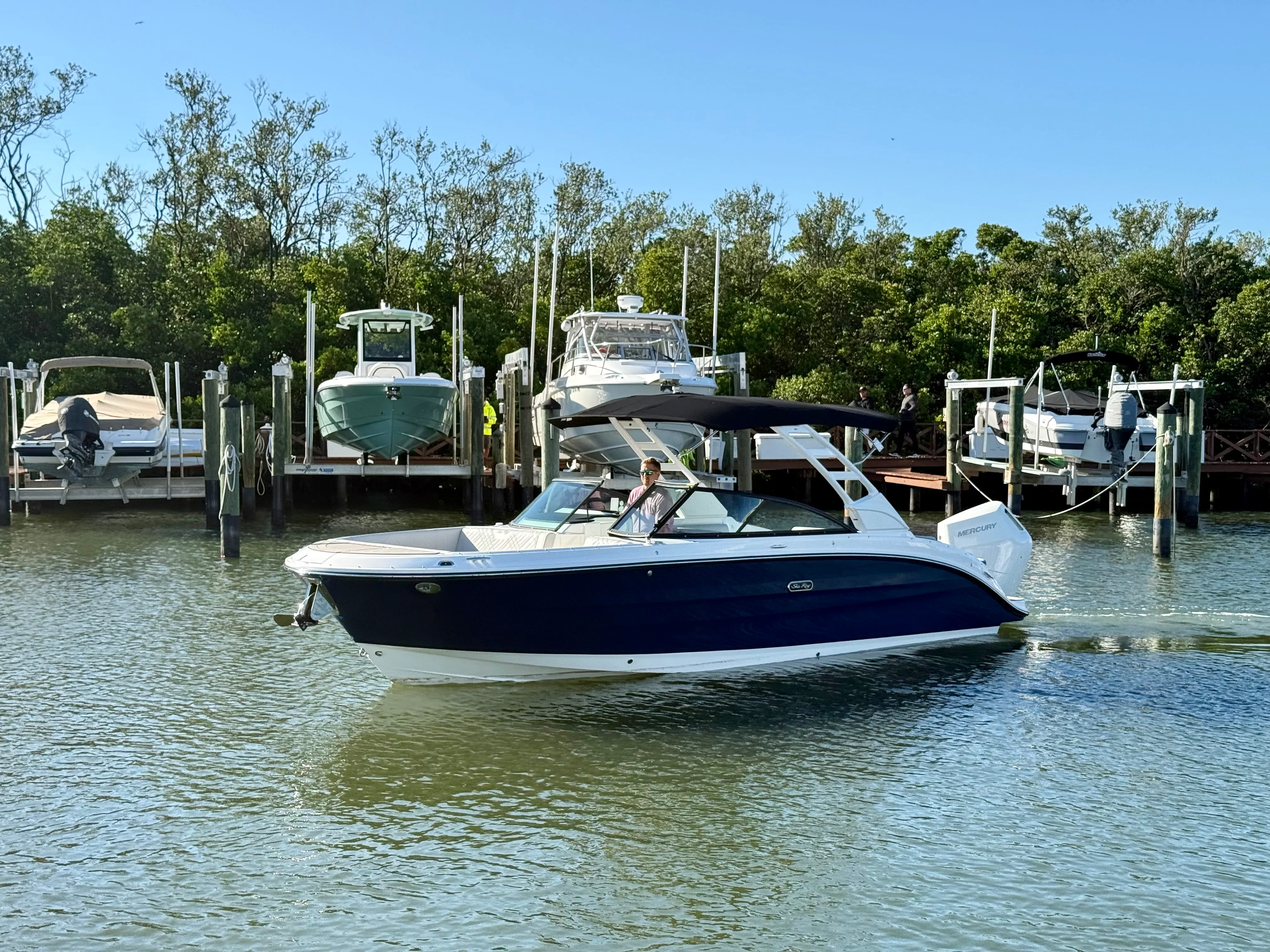 2025 Sea Ray SDX 270 Outboard Image Thumbnail #10