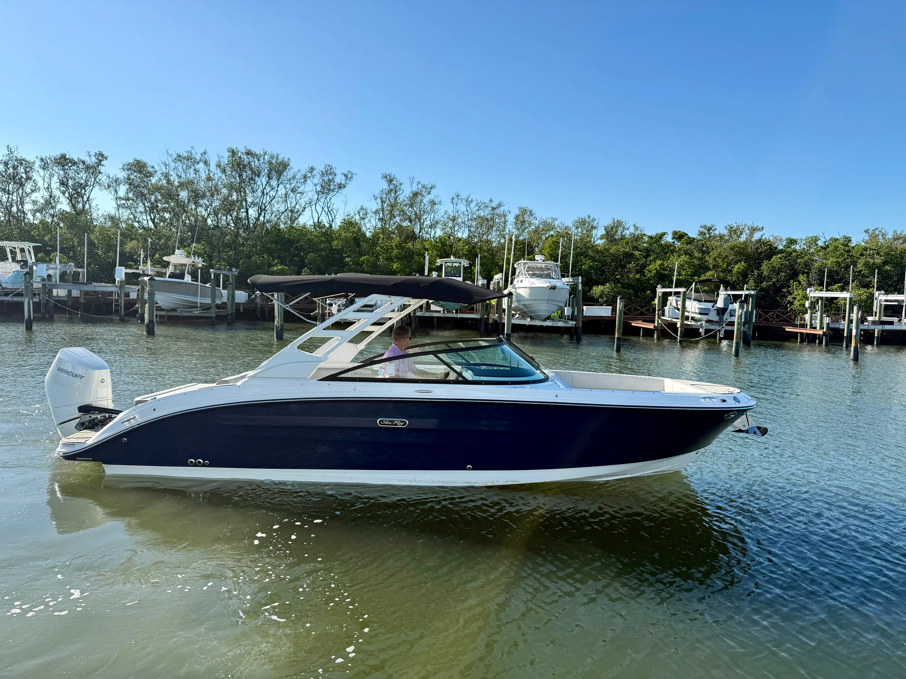 2025 Sea Ray SDX 270 Outboard Image Thumbnail #0