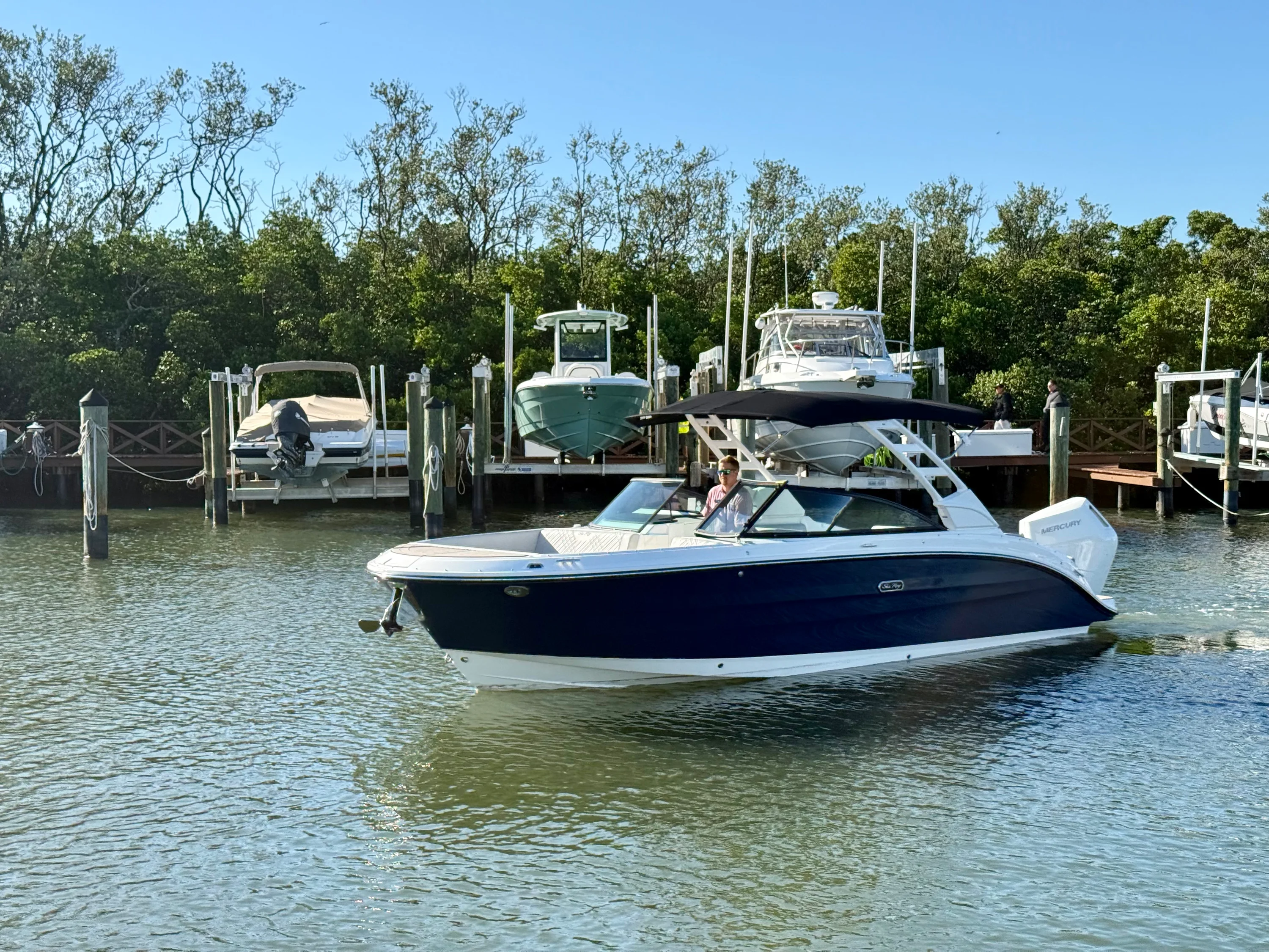 2025 Sea Ray SDX 270 Outboard Image Thumbnail #11