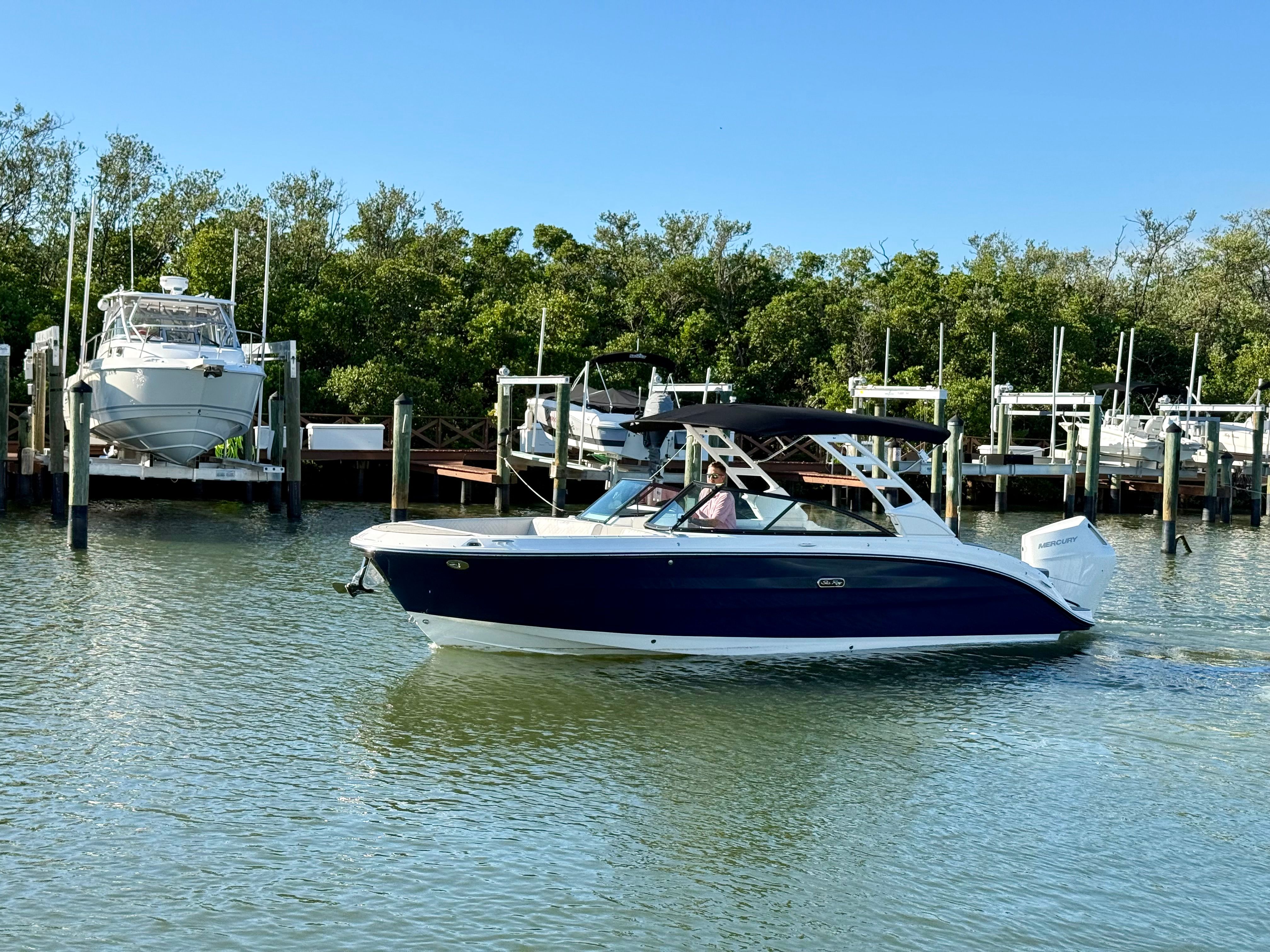 2025 Sea Ray SDX 270 Outboard Image Thumbnail #6