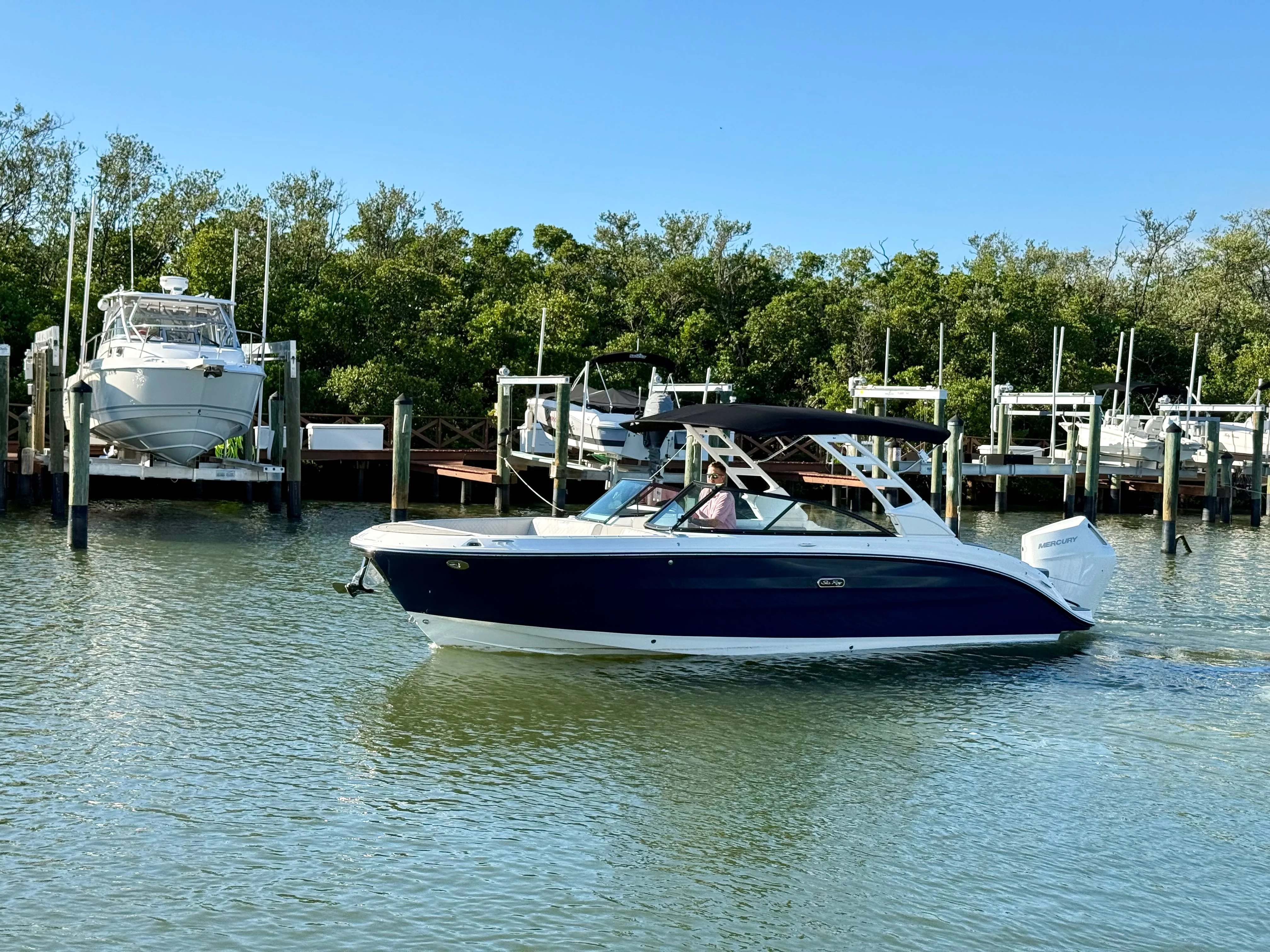 2025 Sea Ray SDX 270 Outboard Image Thumbnail #6