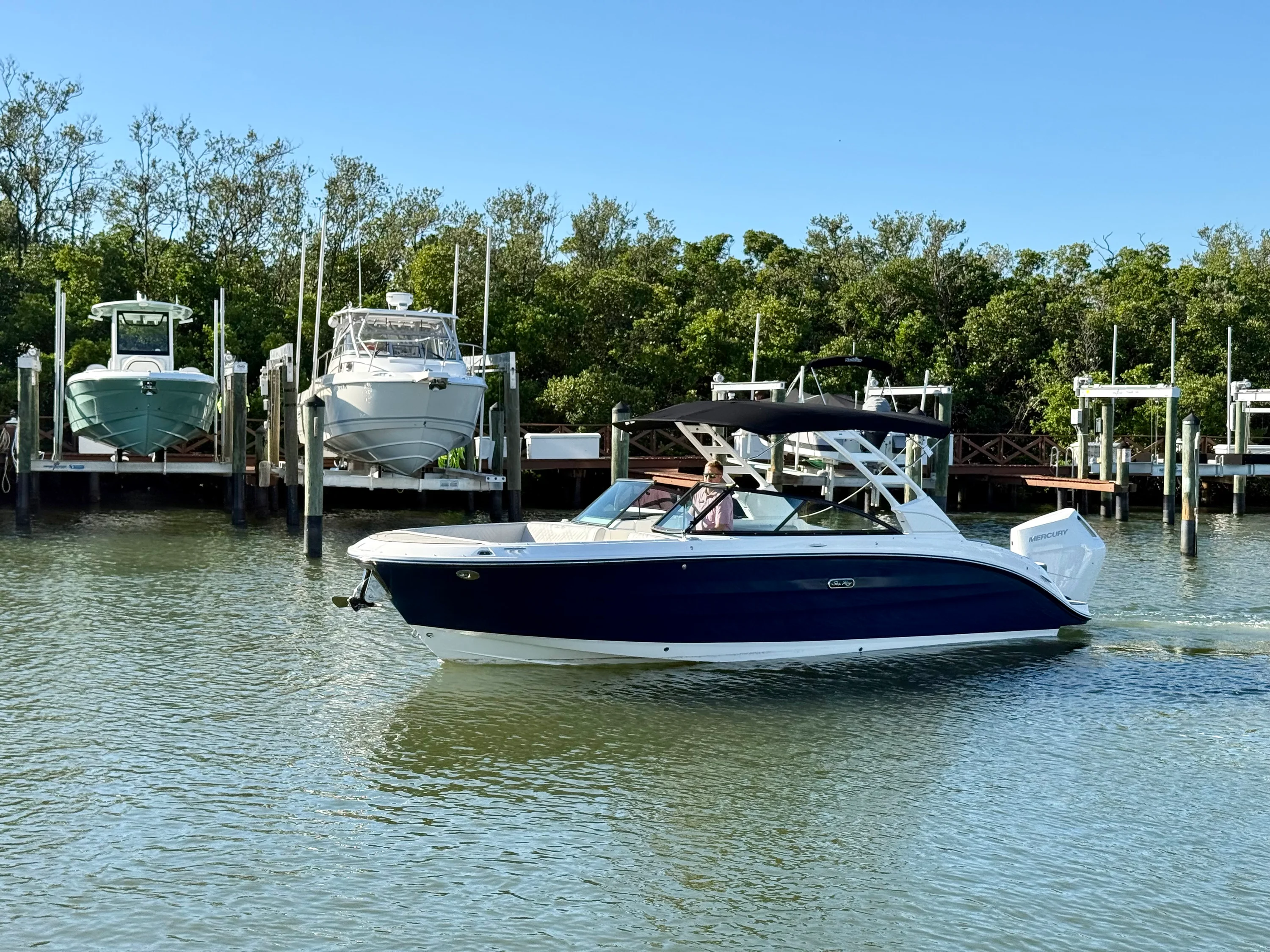 2025 Sea Ray SDX 270 Outboard Image Thumbnail #9