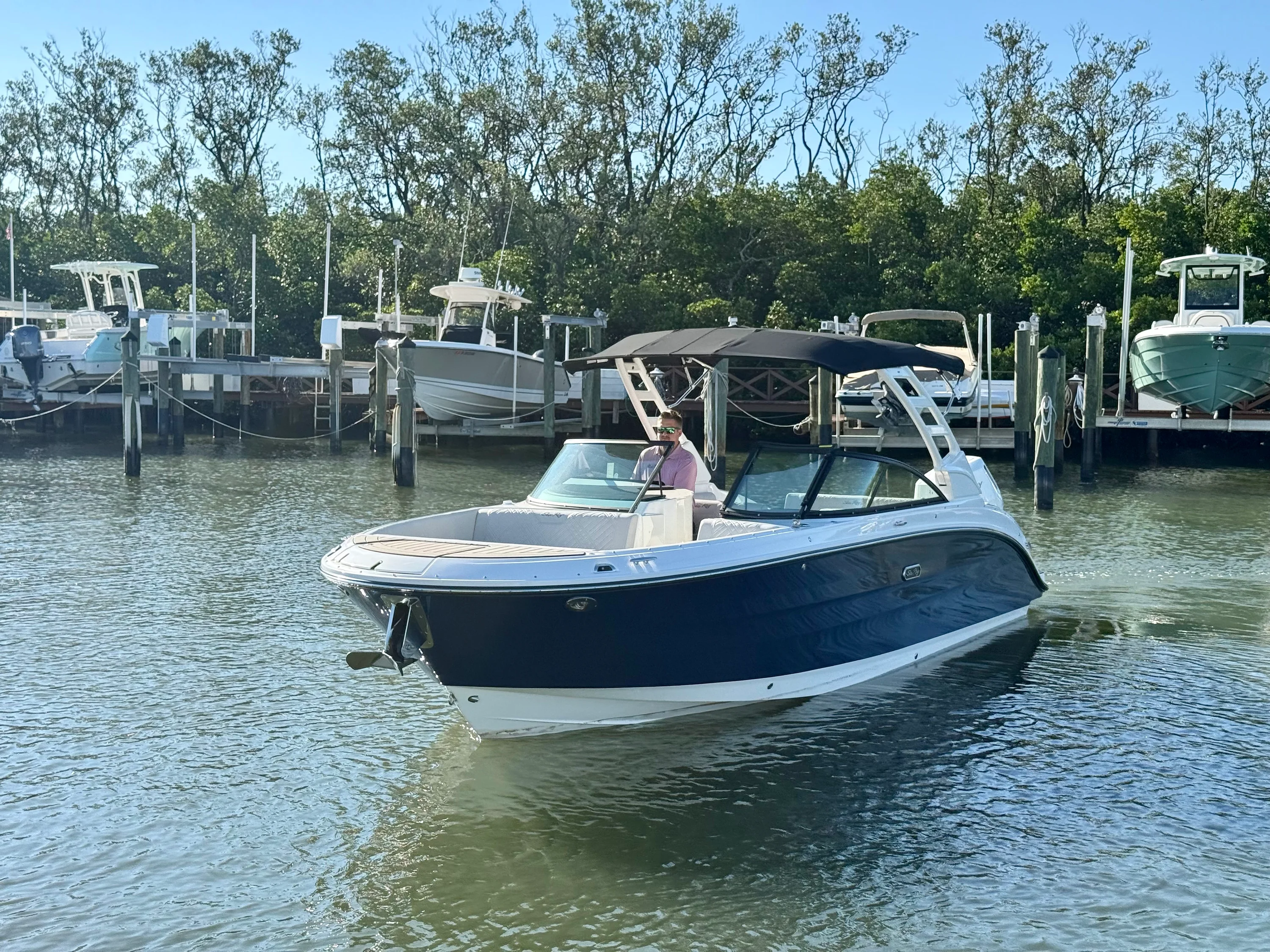 2025 Sea Ray SDX 270 Outboard Image Thumbnail #17