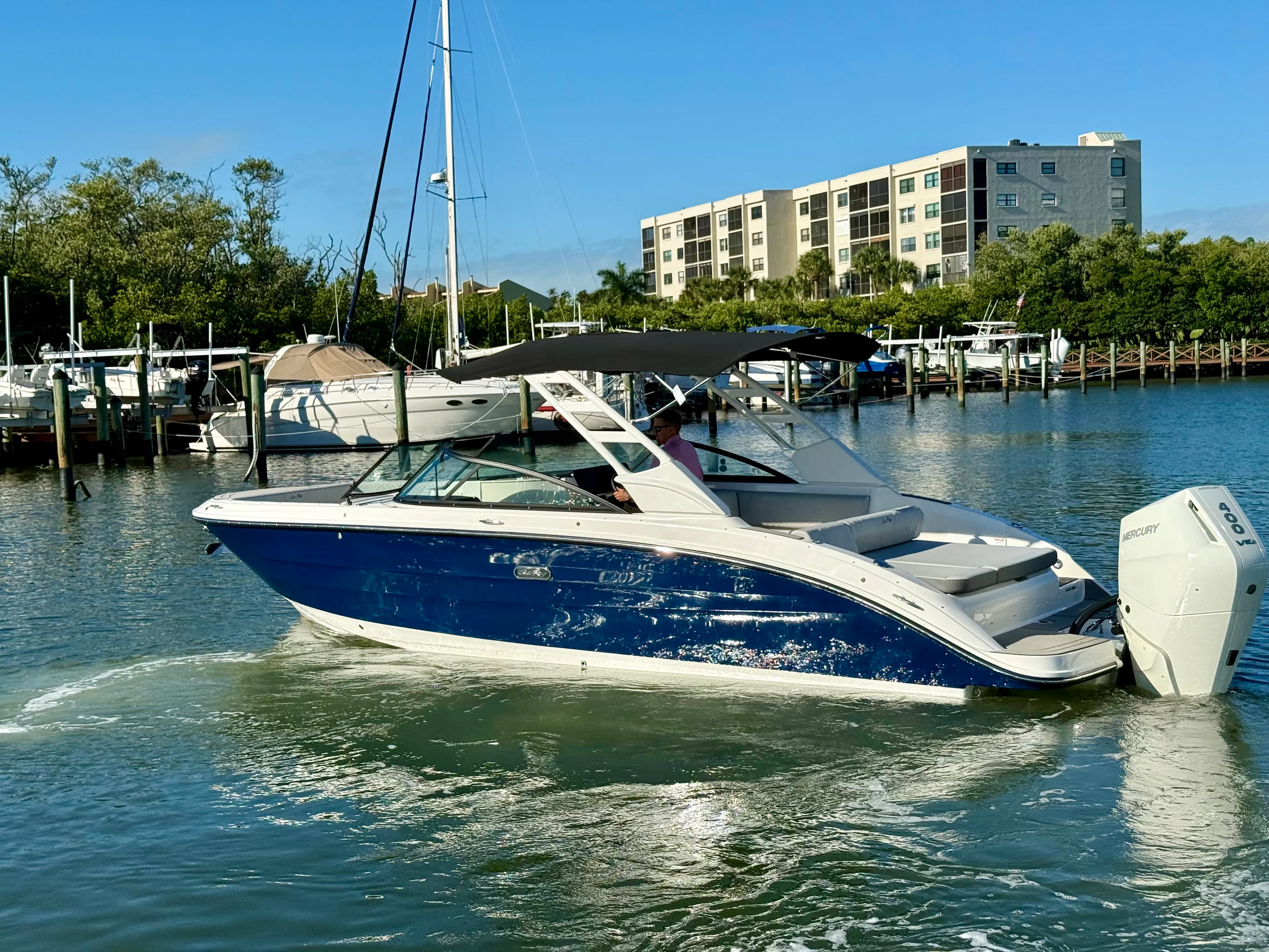 2025 Sea Ray SDX 270 Outboard Image Thumbnail #8