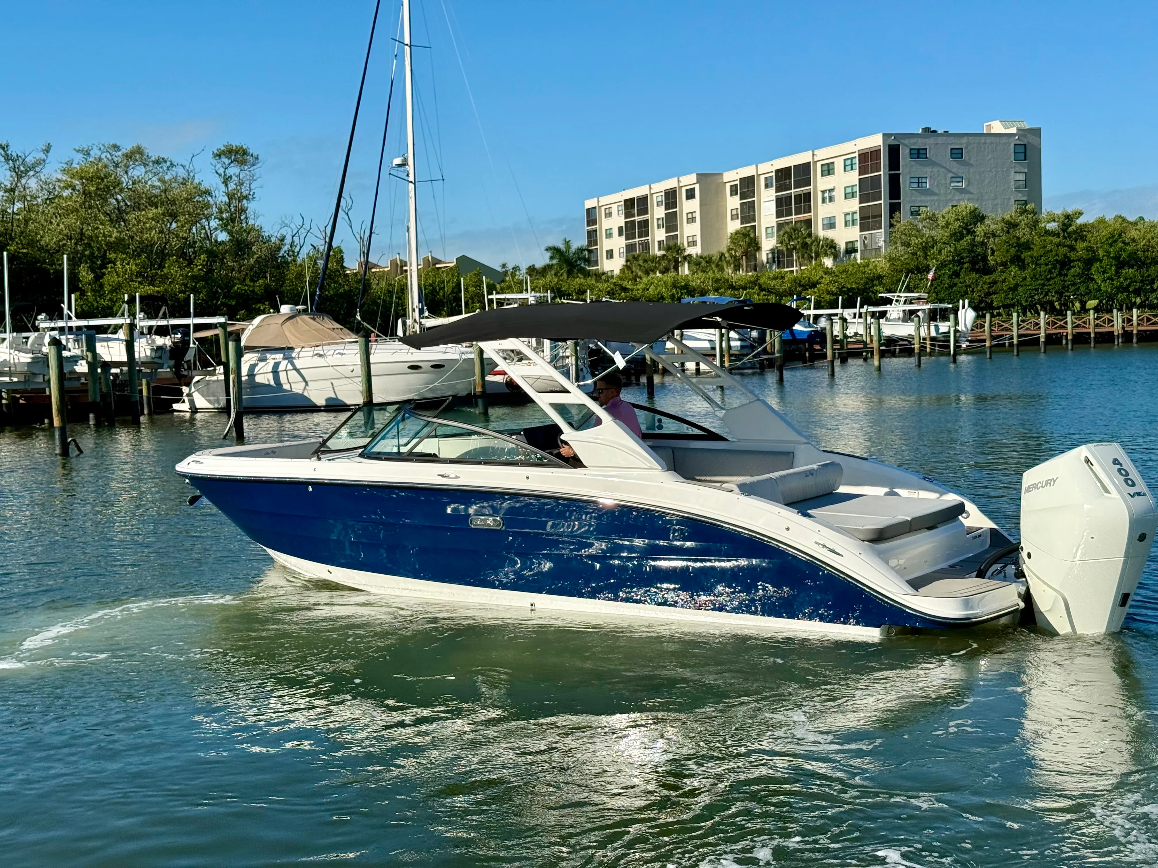 2025 Sea Ray SDX 270 Outboard Image Thumbnail #8