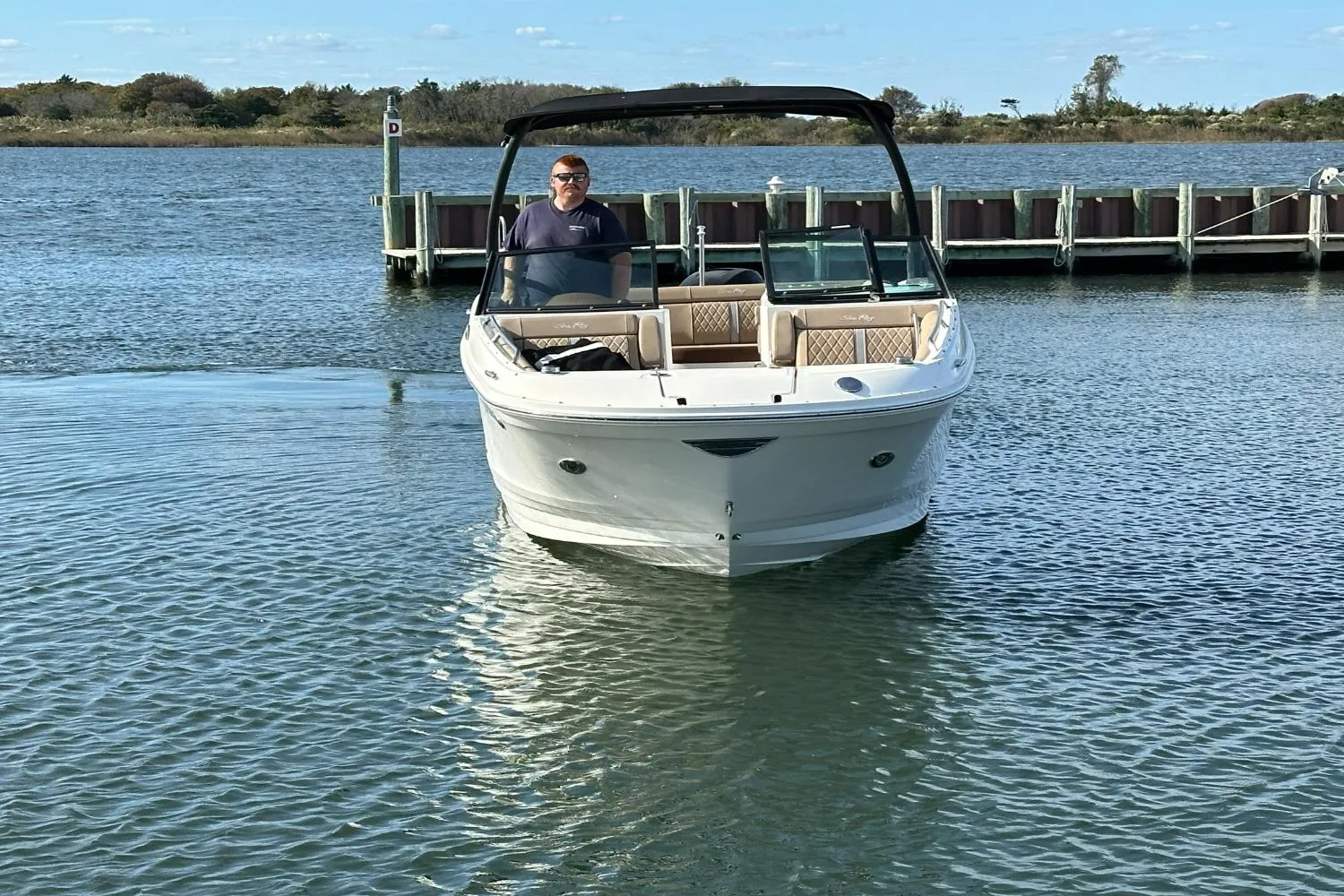 2016 Sea Ray 270 Sundeck Outboard Image Thumbnail #10