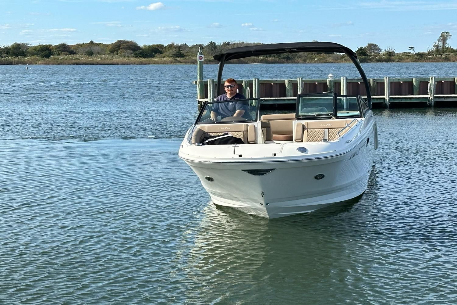 2016 Sea Ray 270 Sundeck Outboard Image Thumbnail #9