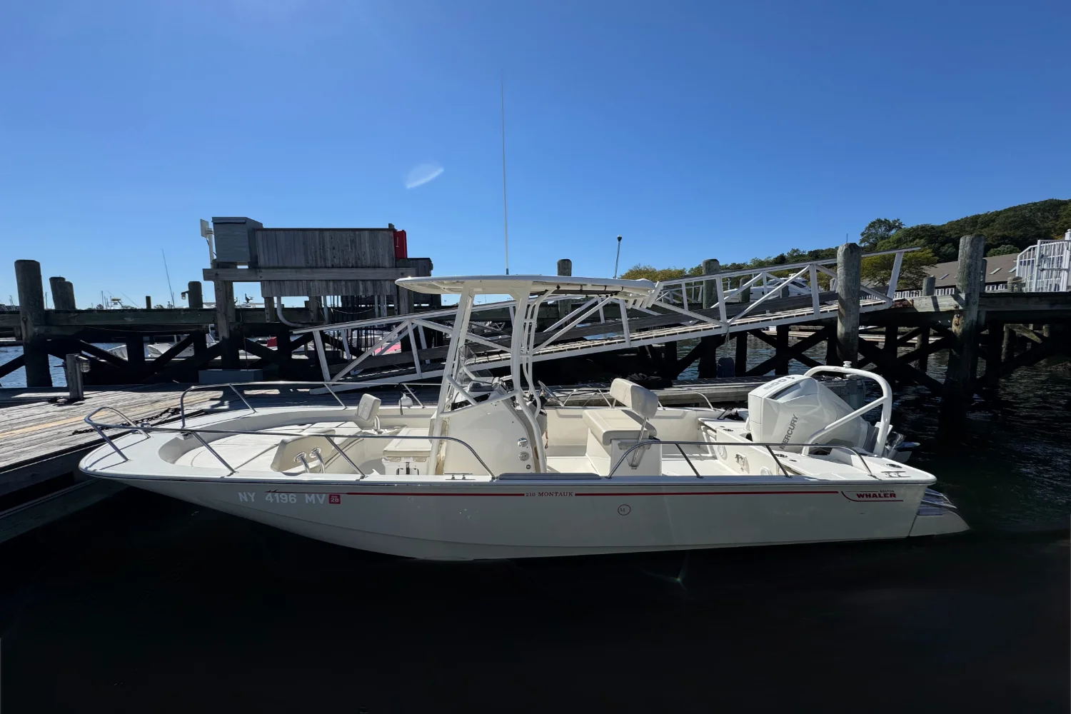 2024 Boston Whaler 210 Montauk Image Thumbnail #1