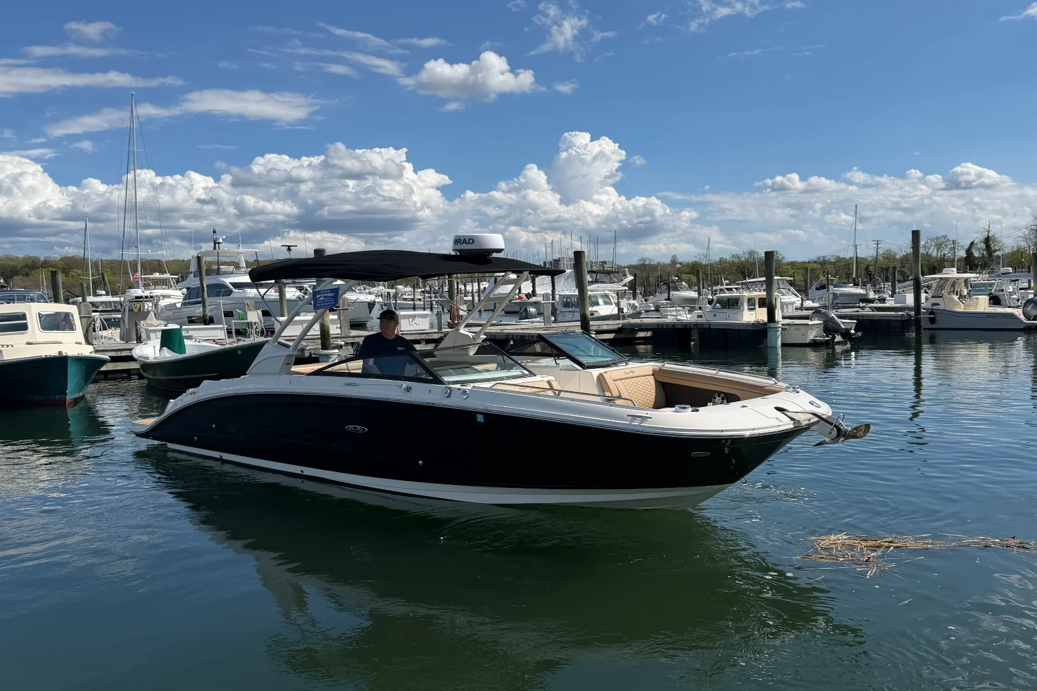 2023 Sea Ray SDX 290 Image Thumbnail #50