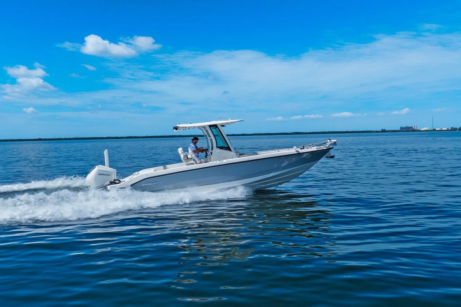 2025 Boston Whaler 280 DAUNTLESS Image Thumbnail #14