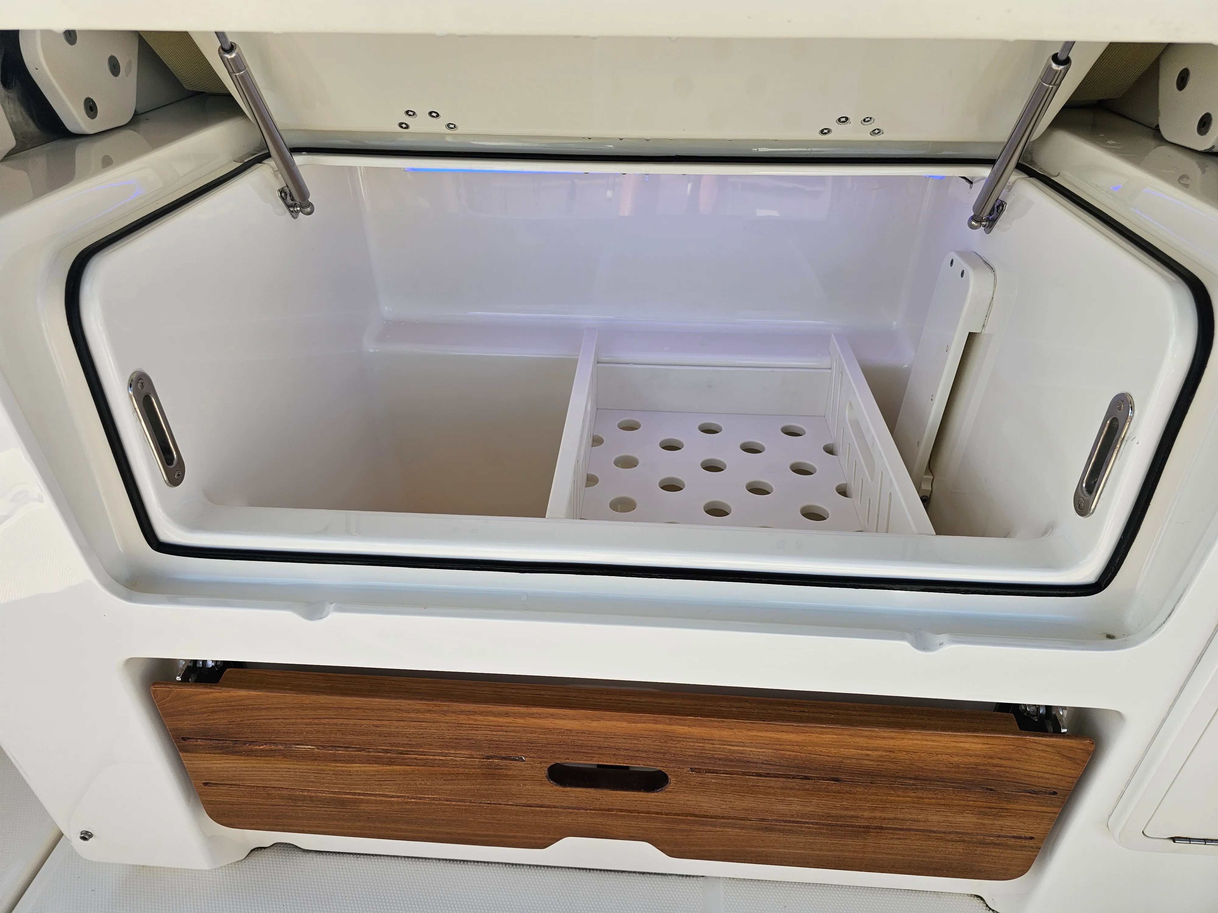 2021 Boston Whaler 350 REALM Image Thumbnail #17