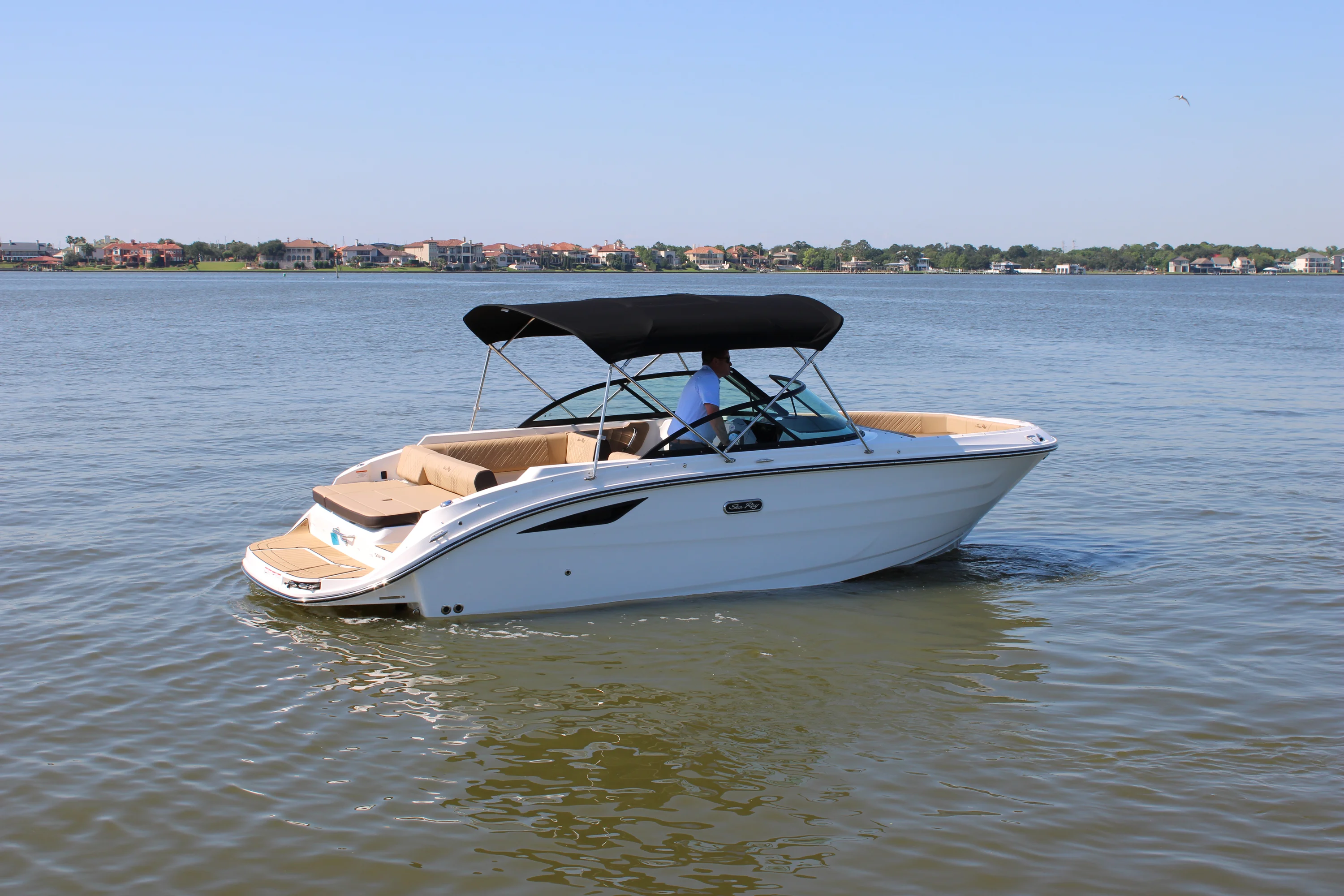 2026 Sea Ray SDX 230 Image Thumbnail #11
