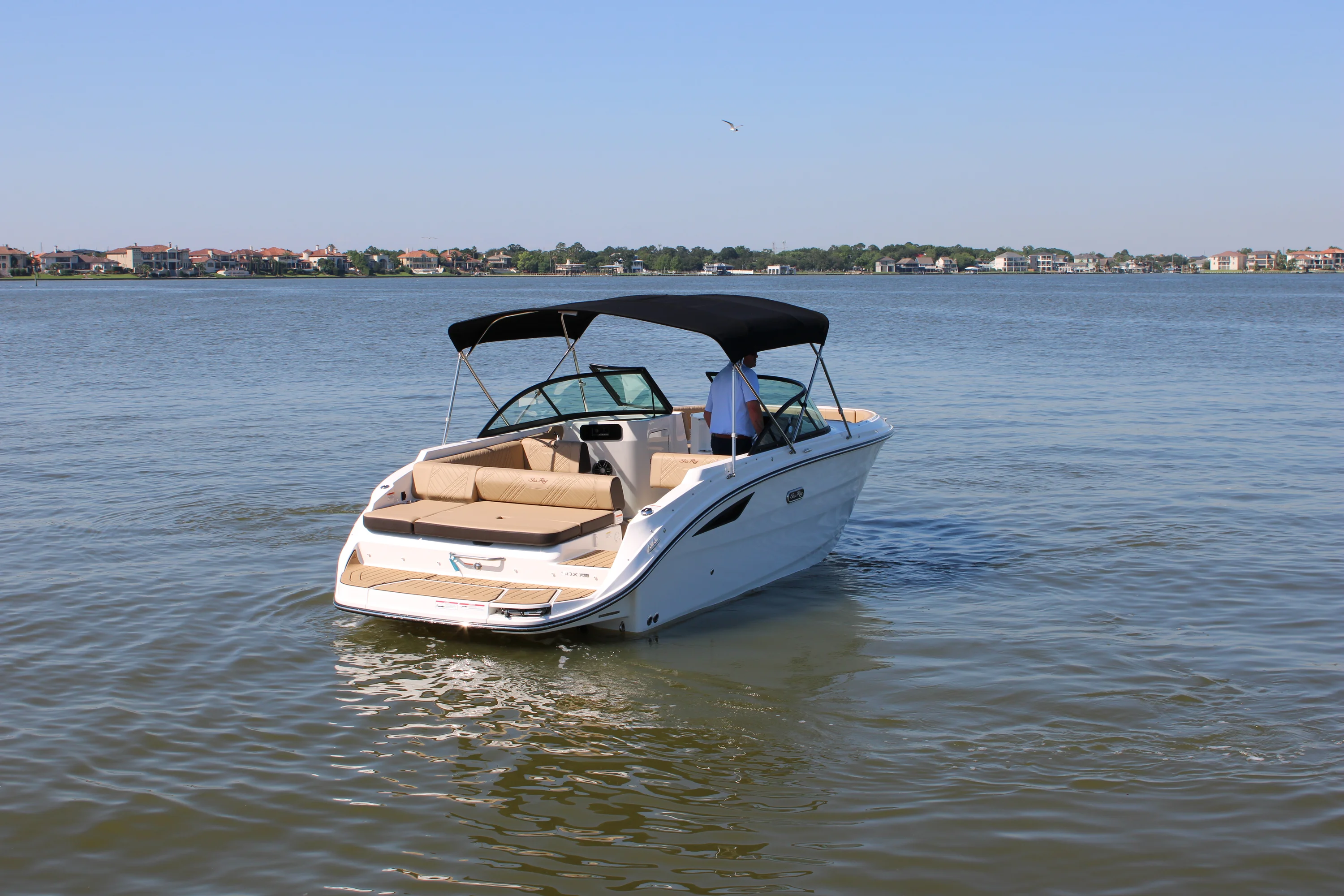 2026 Sea Ray SDX 230 Image Thumbnail #9