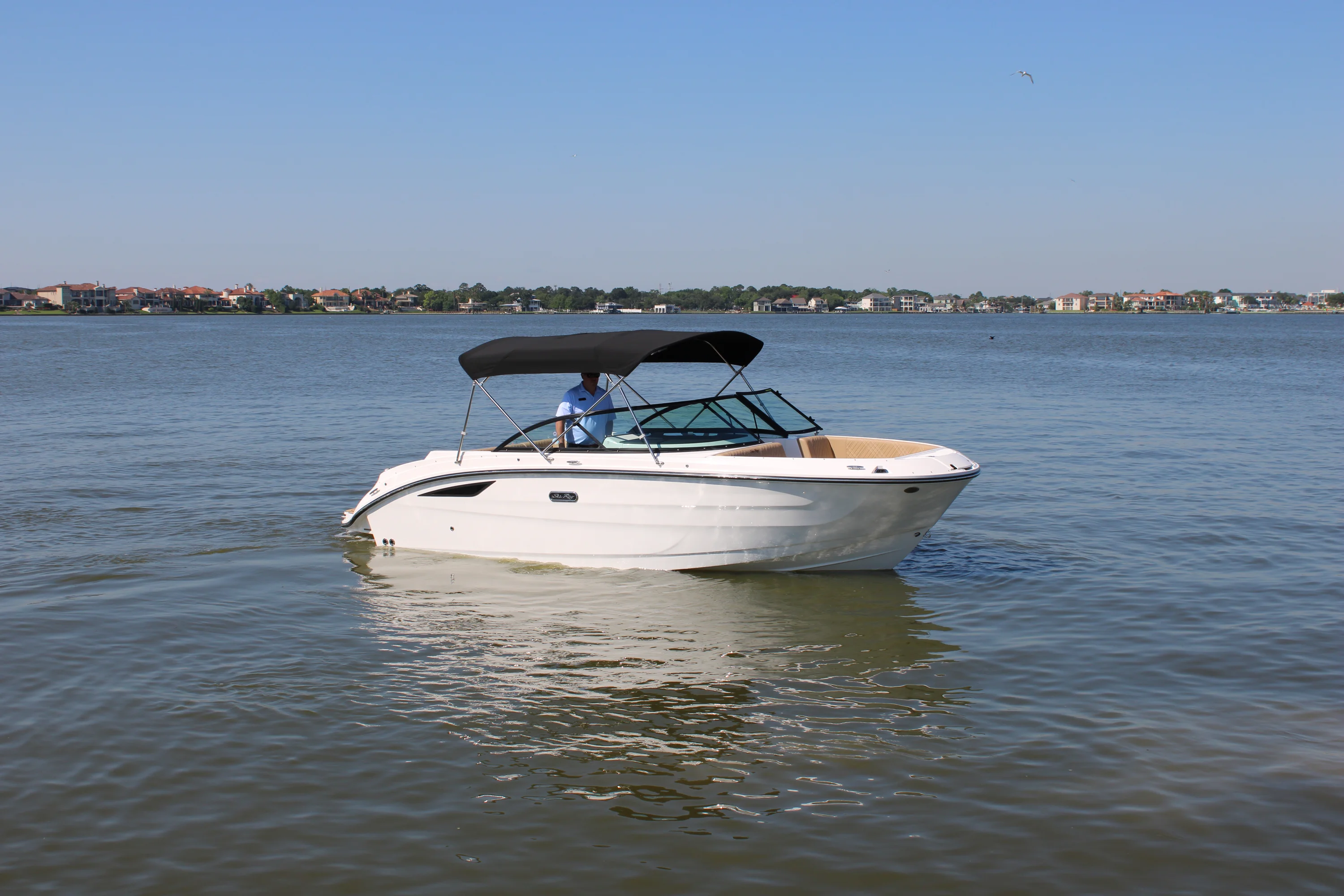 2026 Sea Ray SDX 230 Image Thumbnail #13