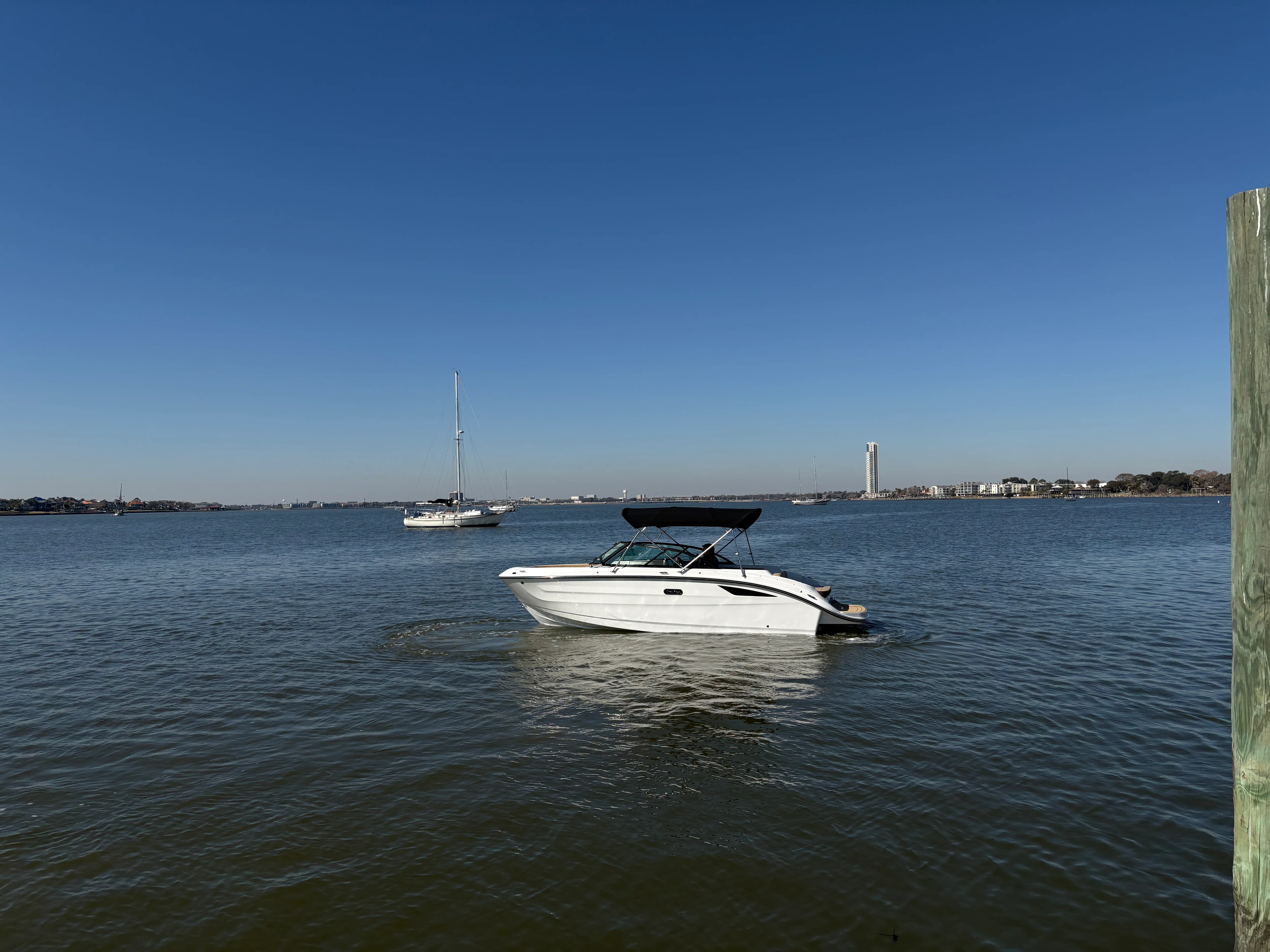 2026 Sea Ray SDX 230 Image Thumbnail #4