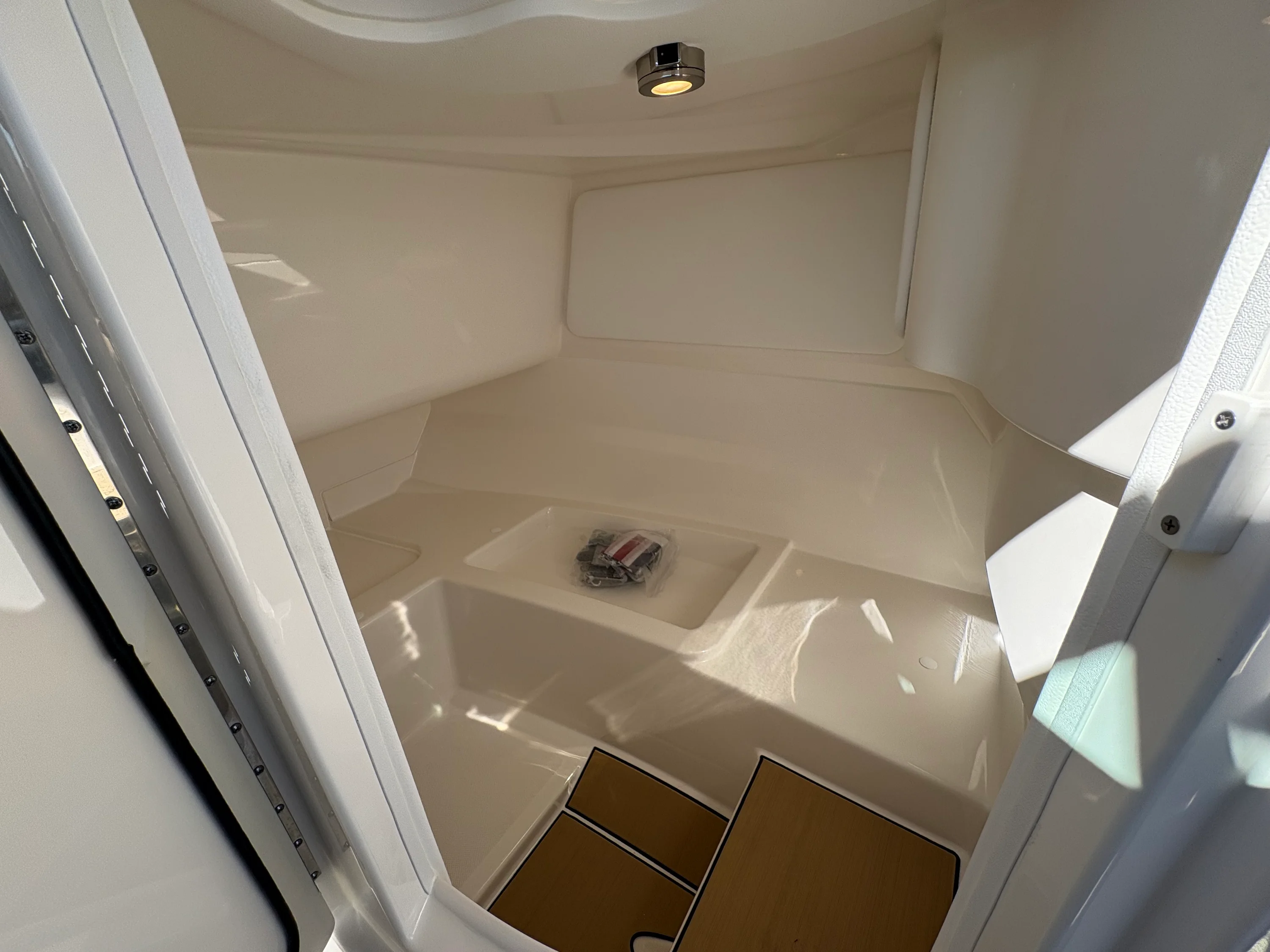 2026 Sea Ray SDX 230 Image Thumbnail #12