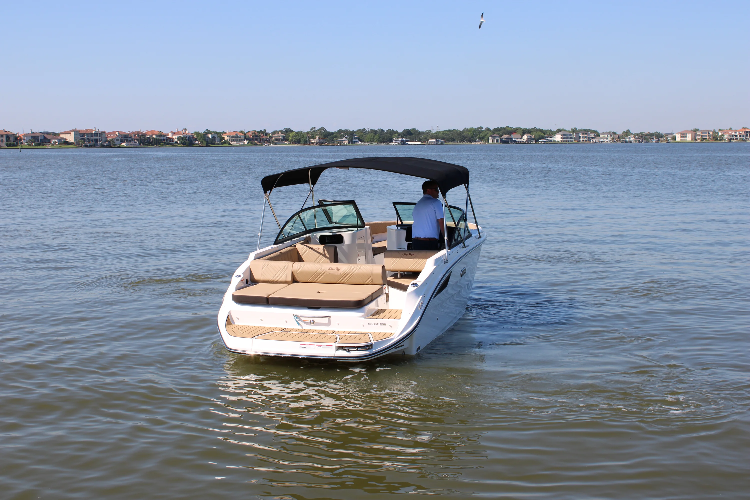 2026 Sea Ray SDX 230 Image Thumbnail #8