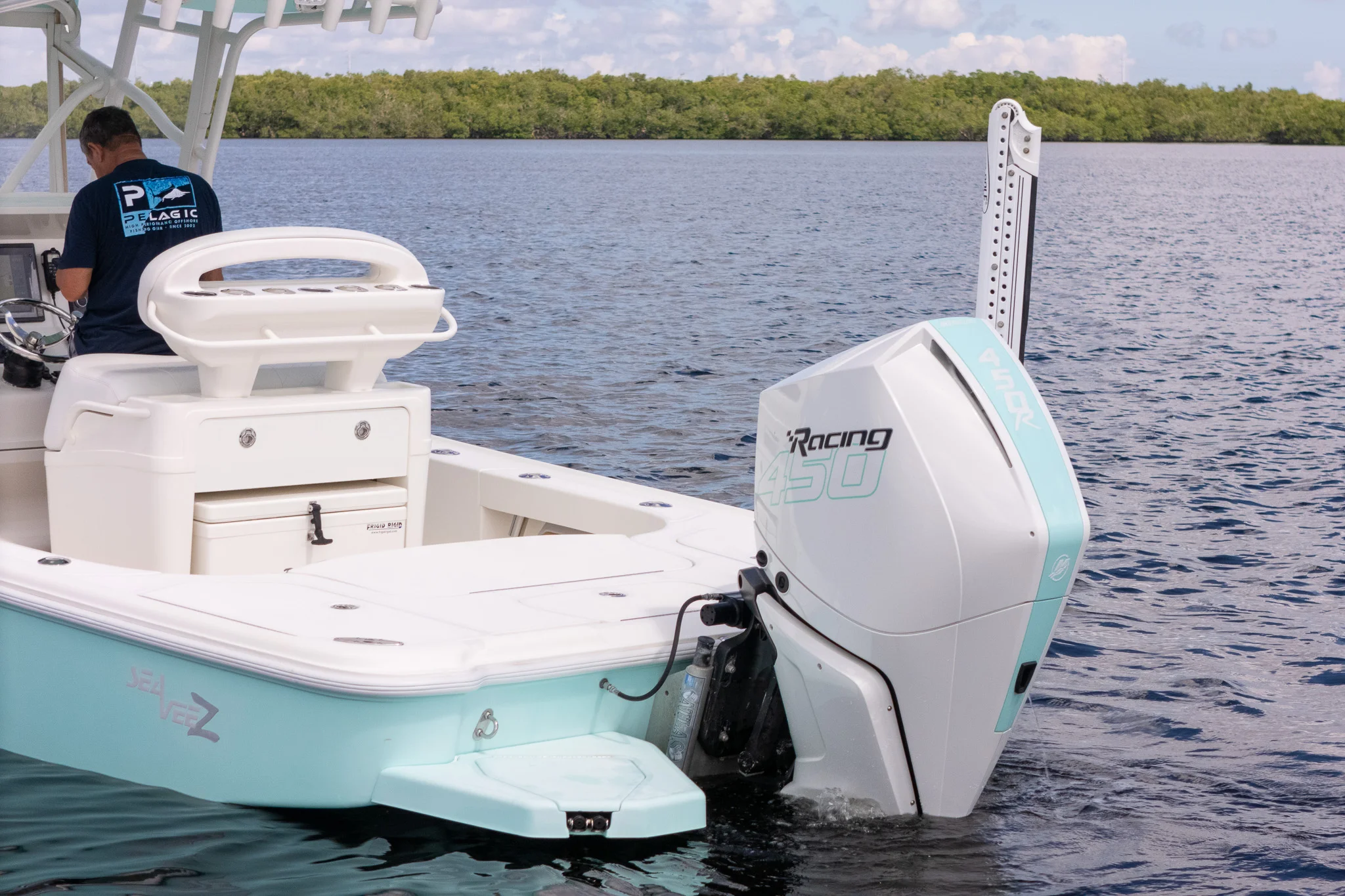 2019 SeaVee 270Z Image Thumbnail #14