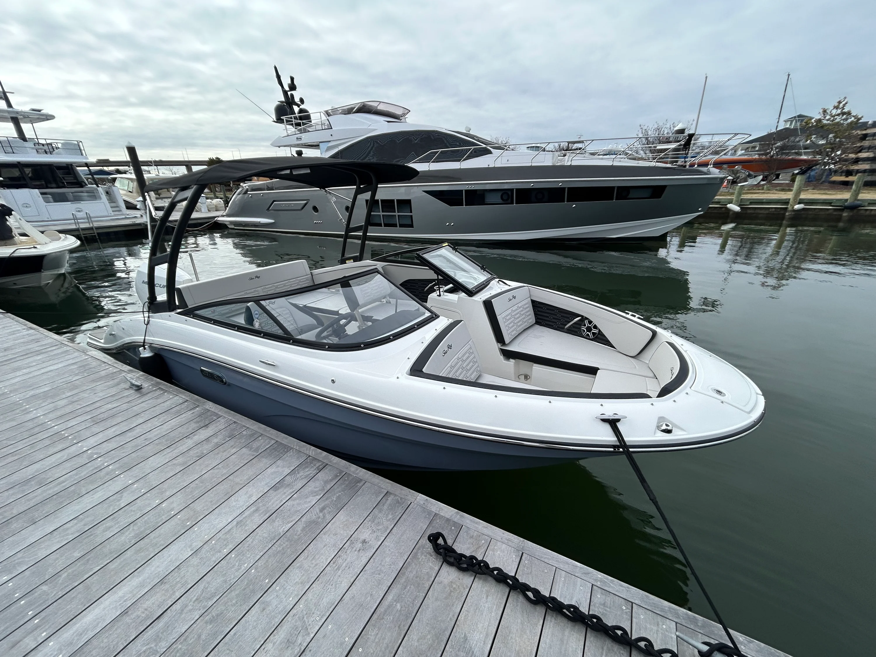 2026 Sea Ray SPX 210 Outboard Image Thumbnail #7