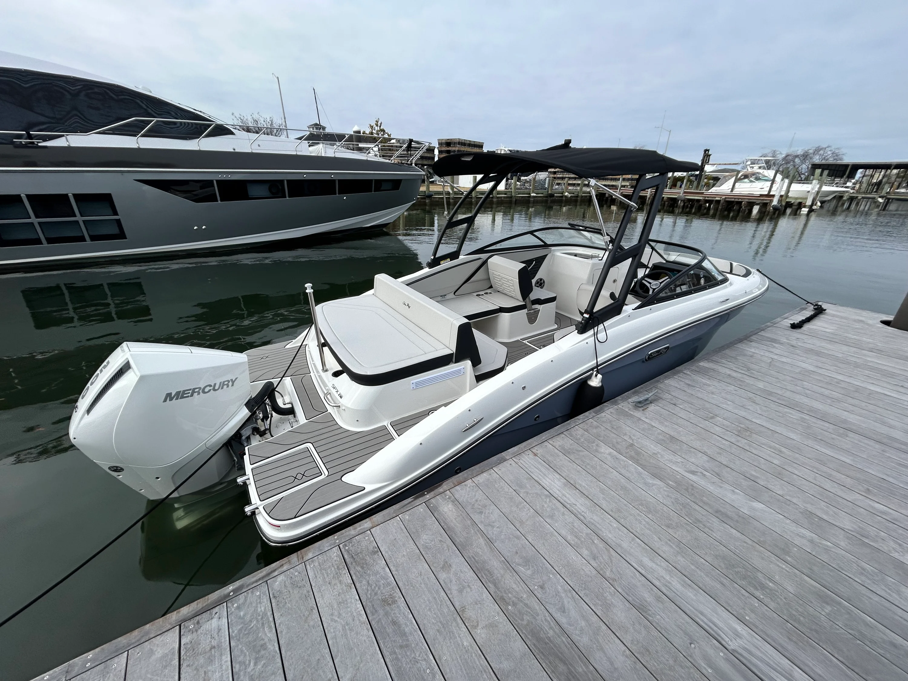 2026 Sea Ray SPX 210 Outboard Image Thumbnail #11