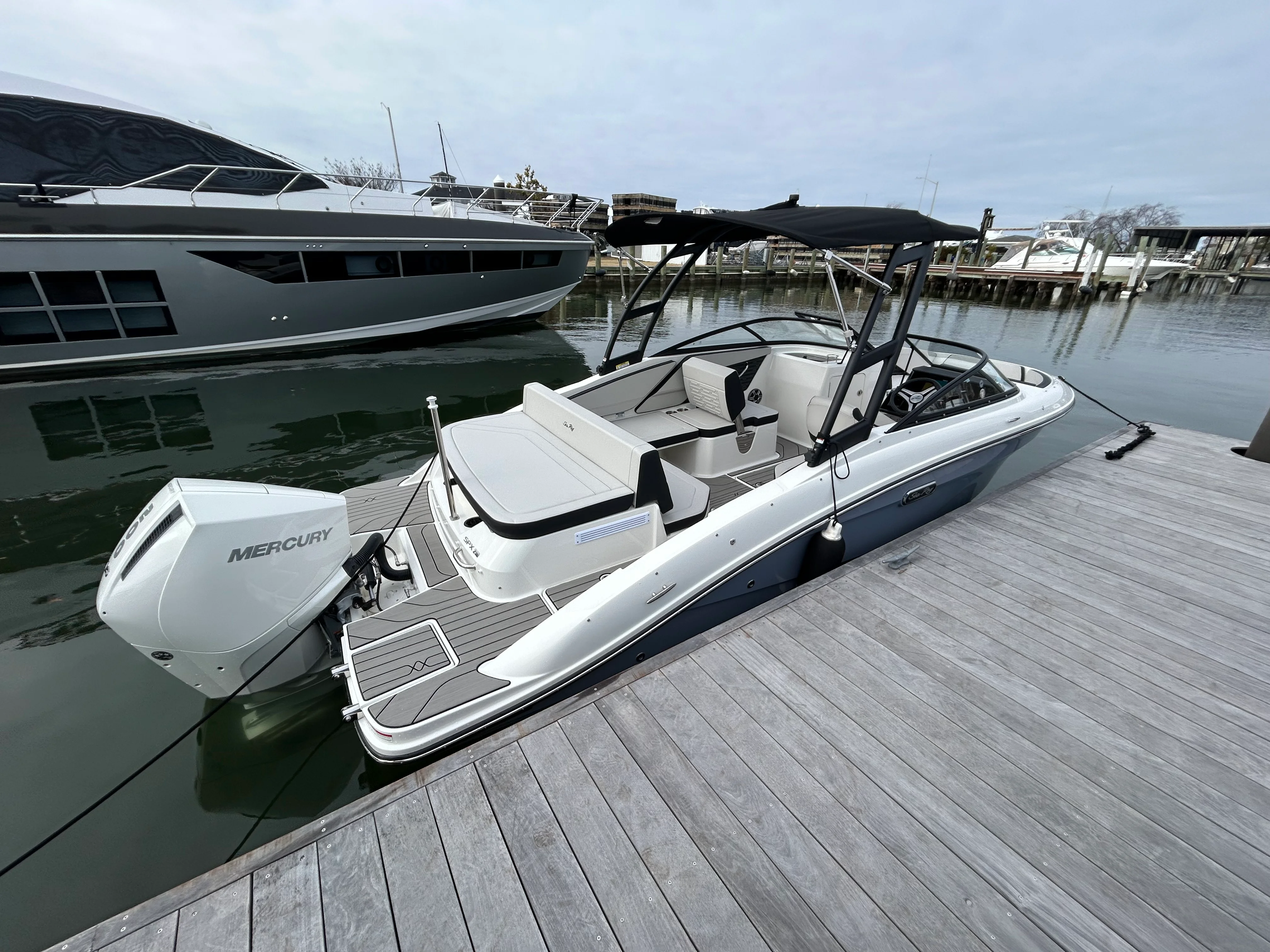 2026 Sea Ray SPX 210 Outboard Image Thumbnail #11