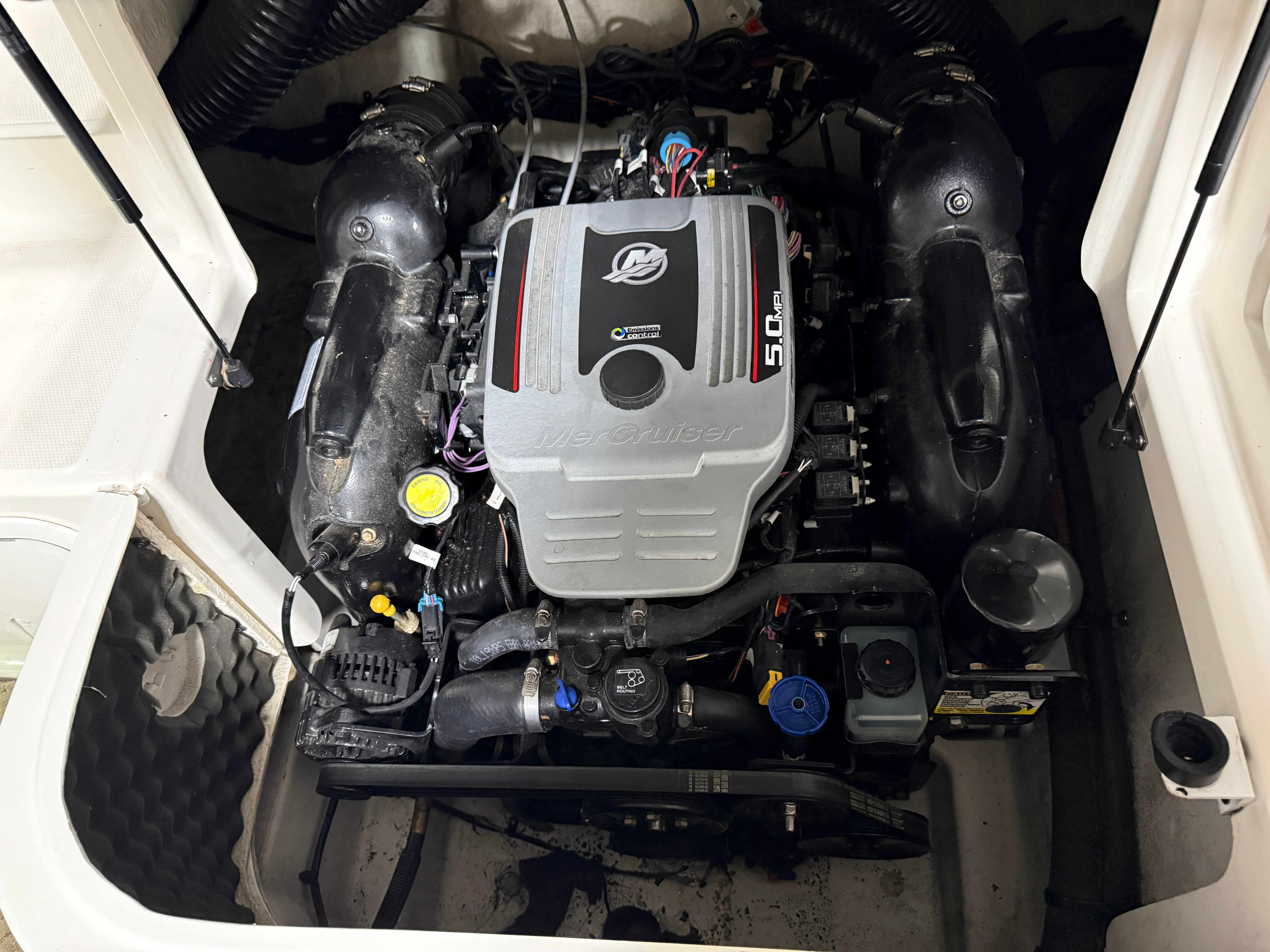 2011 Sea Ray SUNDECK 200 Image Thumbnail #23