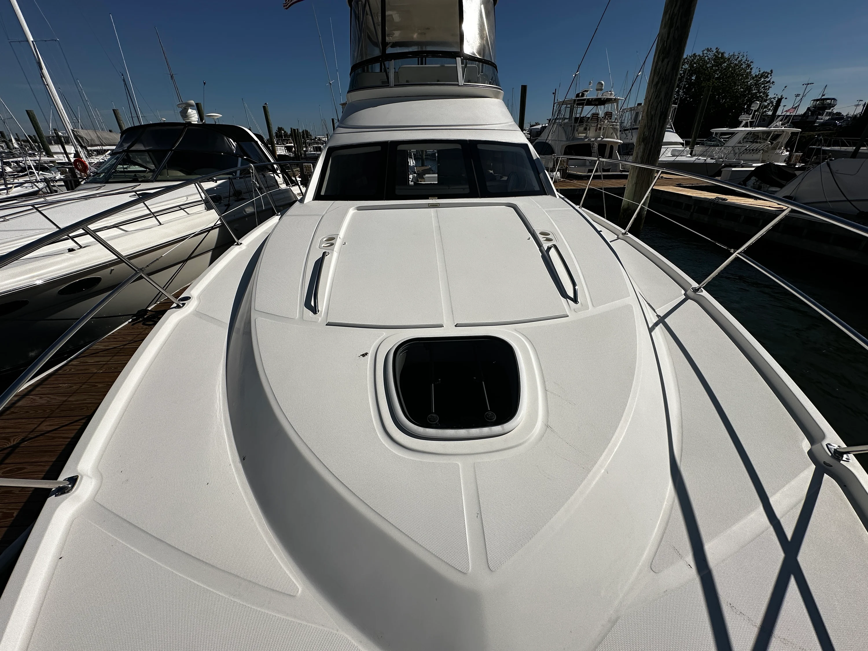 2008 Sea Ray 47 SEDAN BRIDGE Image Thumbnail #48