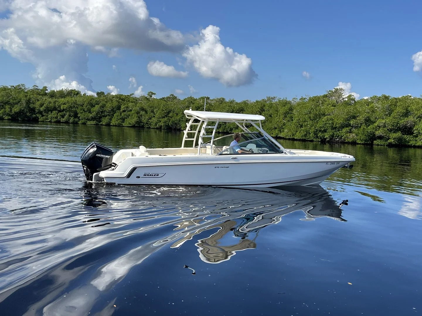 2019 Boston Whaler 270 VANTAGE Image Thumbnail #33