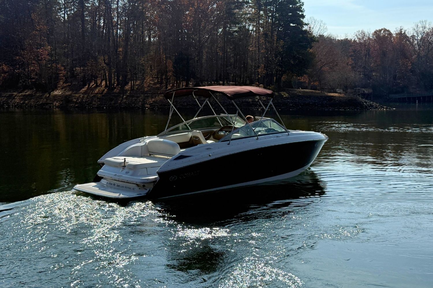 2008 Cobalt 252 Image Thumbnail #3