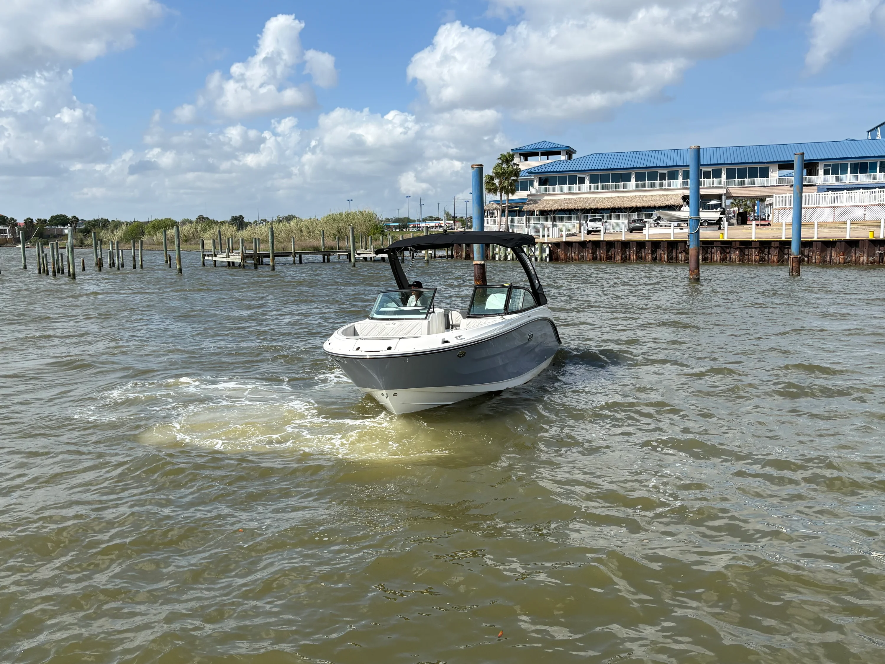 2026 Sea Ray SDX 230 Outboard Image Thumbnail #3