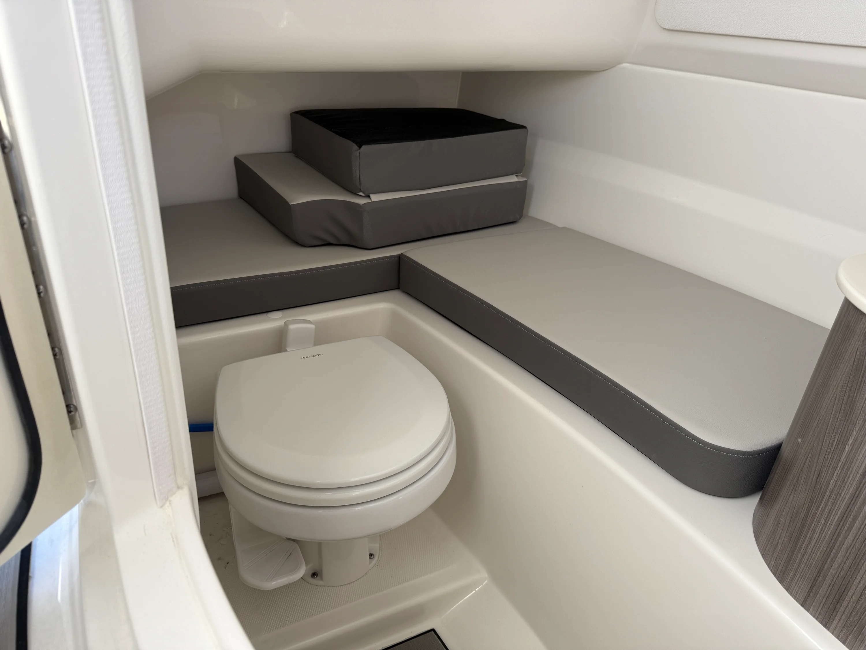 2026 Sea Ray SDX 250 Outboard Image Thumbnail #8